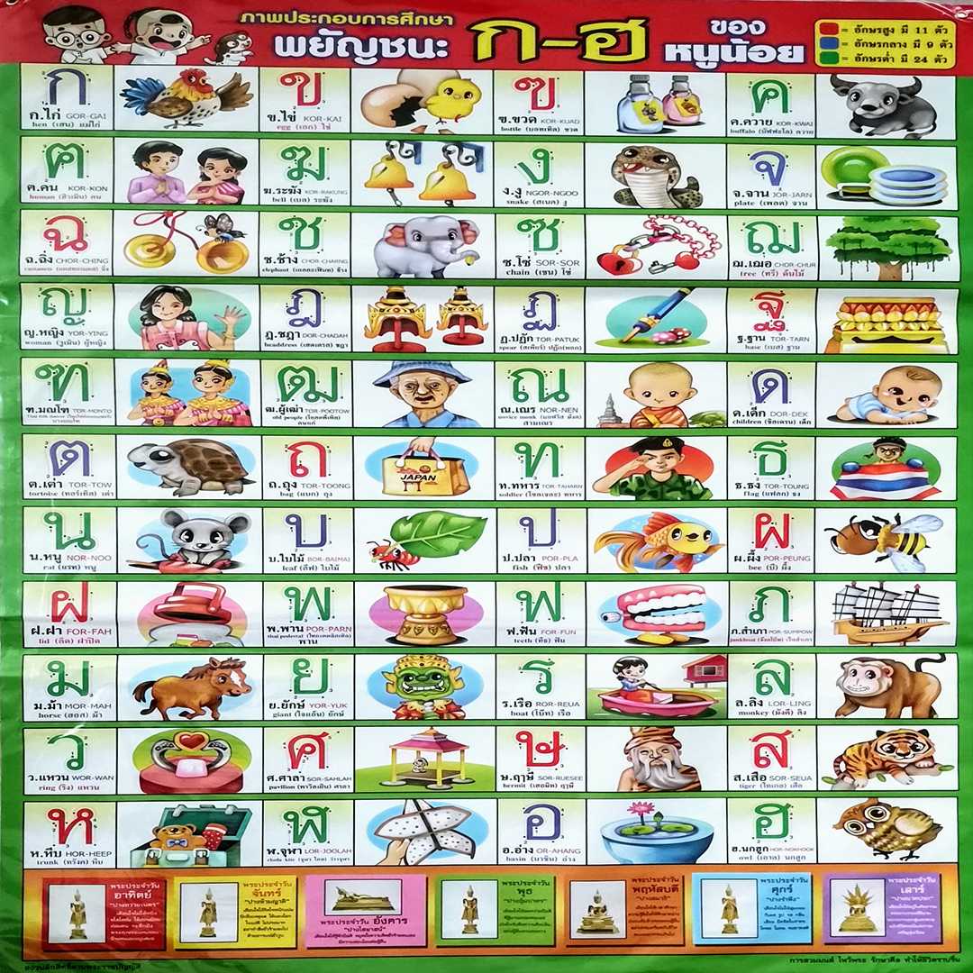โปสเตอร์ พยัญชนะ ก-ฮ ของหนูน้อย Consonant Korkai-Hornokhook of kids