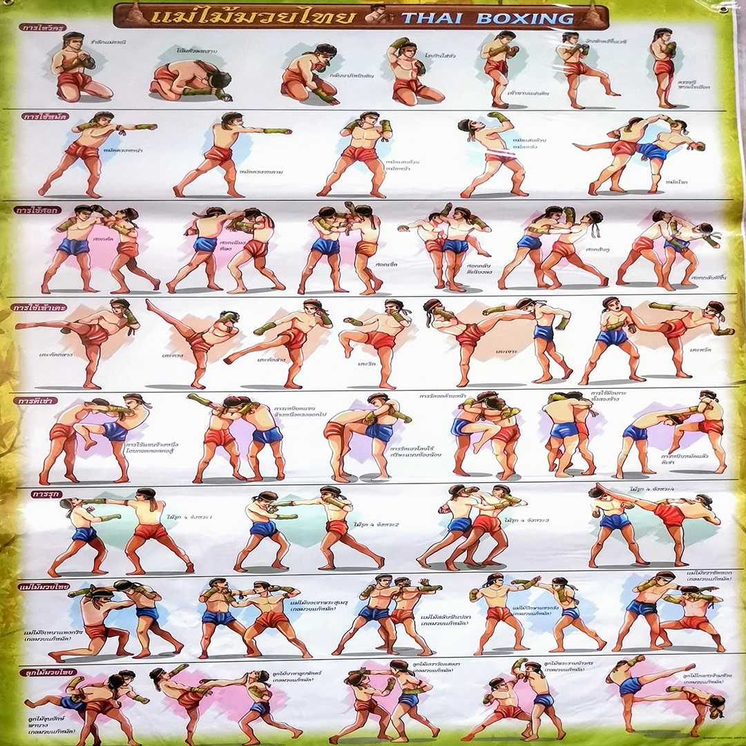 โปสเตอร์ แม่ไม้มวยไทย Thai Boxing