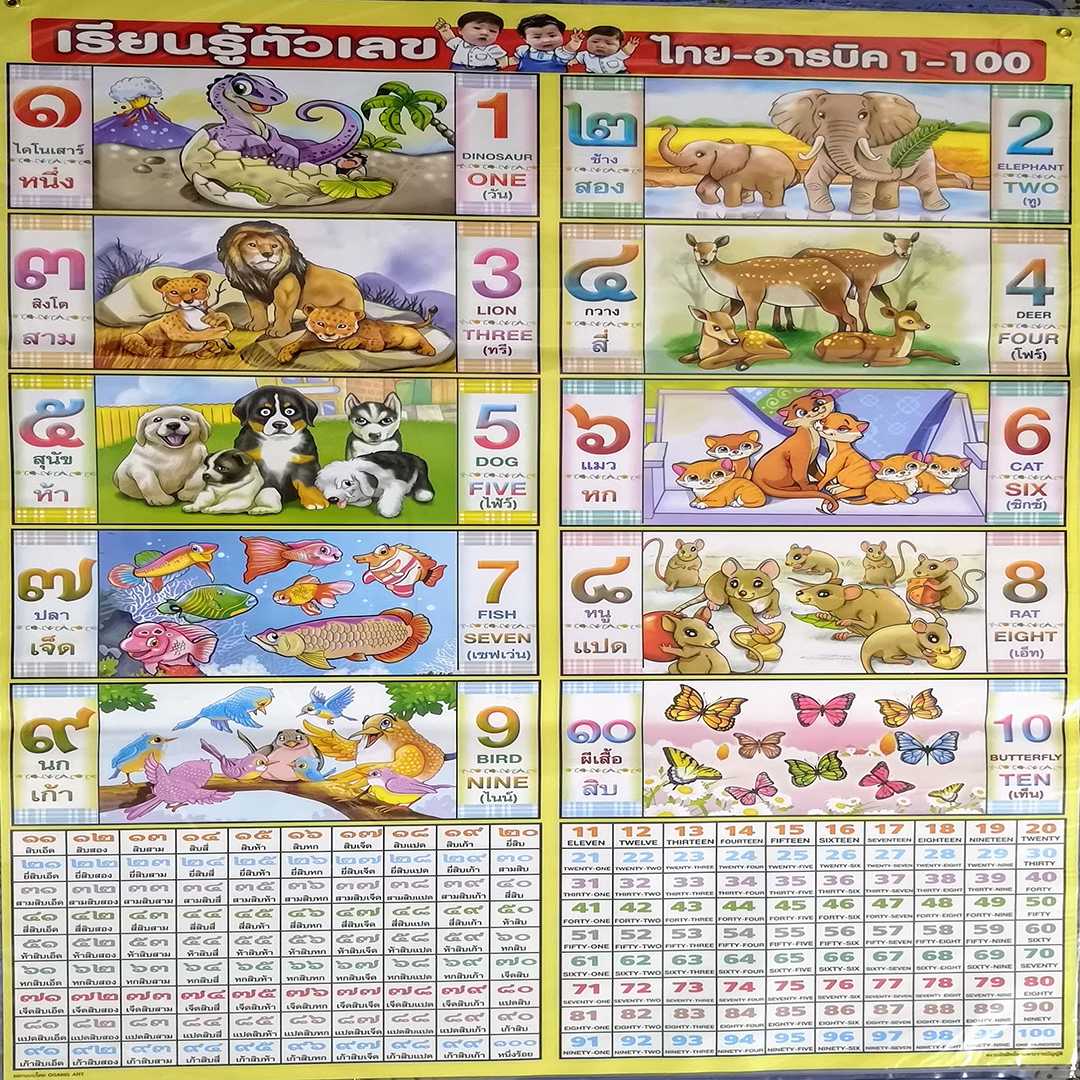 โปสเตอร์ เรียนรู้ตัวเลข ไทย-อารบิค 1-100 Learning number Thai-Arabic 1-100