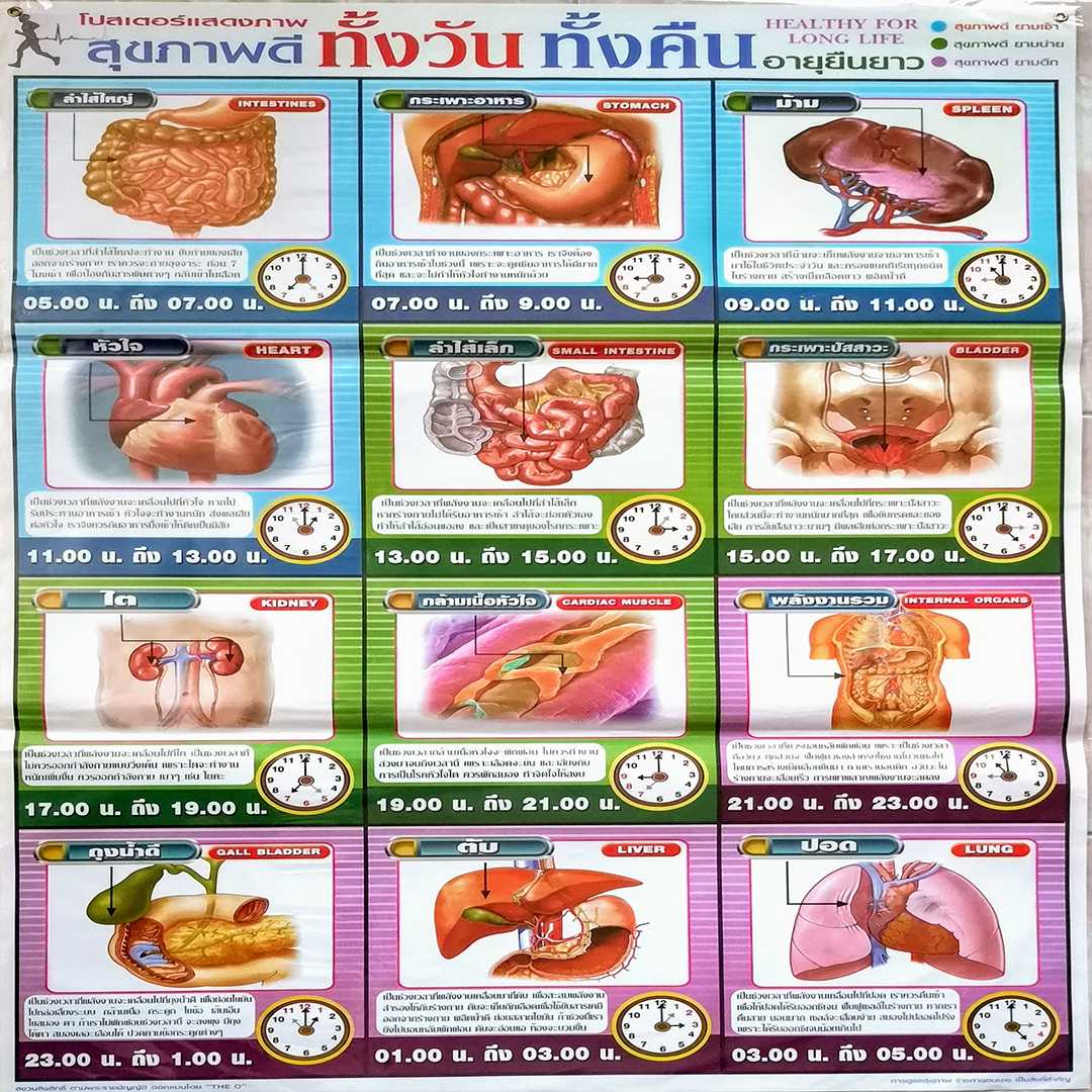 โปสเตอร์ สุขภาพดี ทั้งวัน ทั้งคืน Good healthy everyday