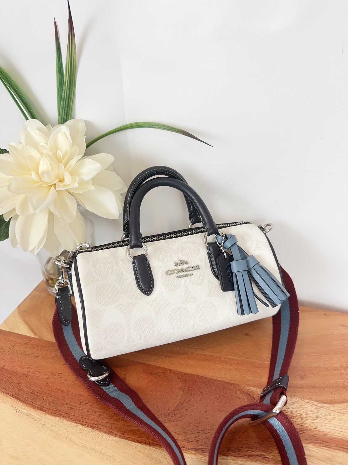Coach Lacey Crossbody In Signature Canvas #CB874