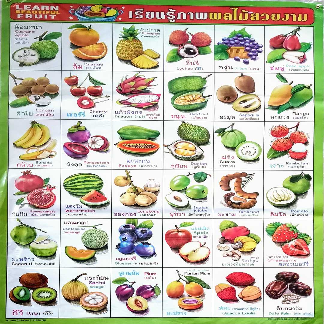 โปสเตอร์ ​เรียนรู้​ผลไม้สวยงาม Fruit Beautiful​