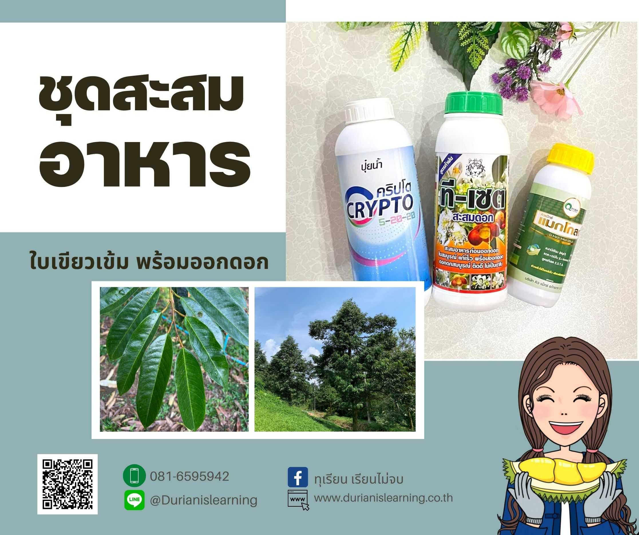 ชุดสะสมอาหาร พร้อมเปิดตาดอก ใบเขียวเข้มเซ็ท3ขวด
