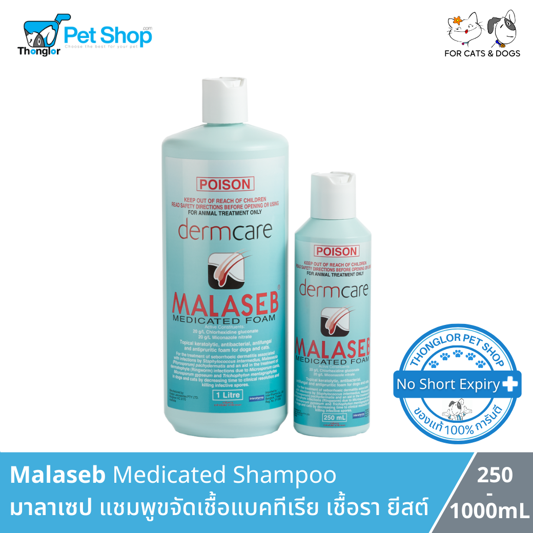 Malaseb Medicated Shampoo - มาลาเซป แชมพูขจัดเชื้อแบคทีเรีย เชื้อรา และยีสต์