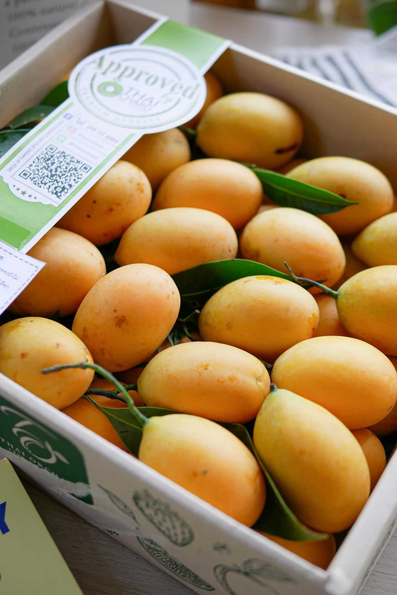 มะยงชิดทูลเกล้า JUMBO