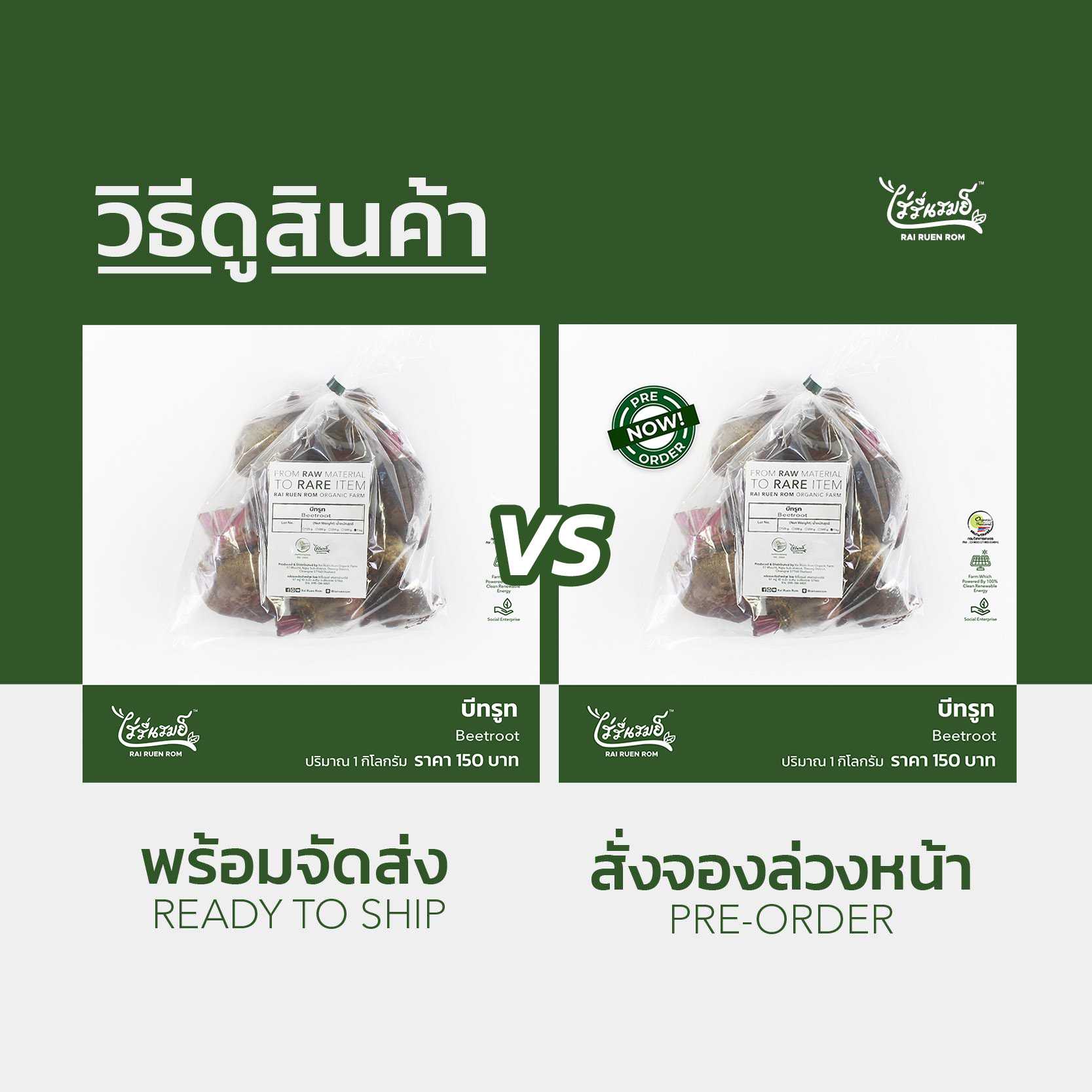 บีทรูท (Beetroot)