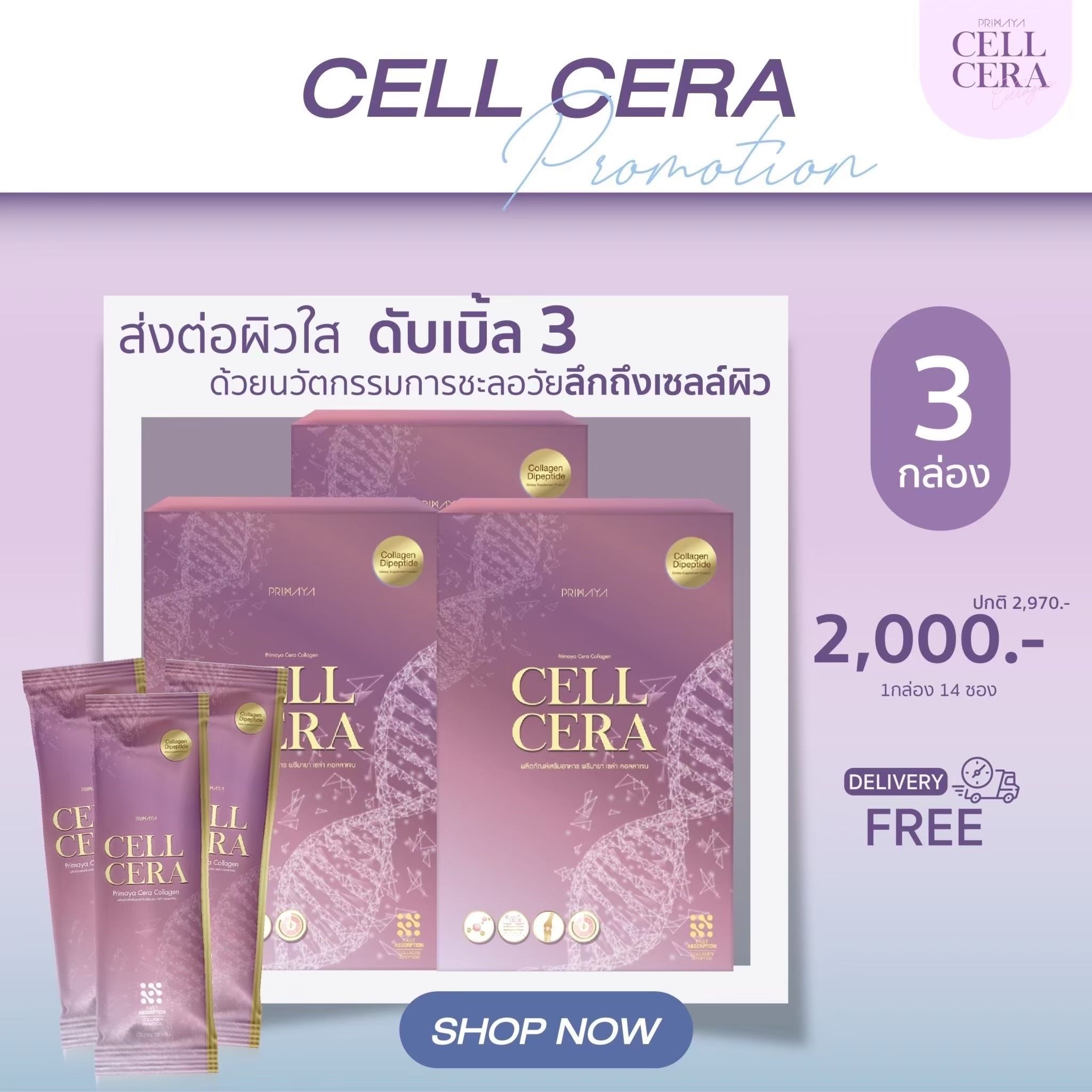 [PRIMAYA]  เซลล์เซร่า คอลลาเจน CELLCERA COLLAGEN ( 3 กล่อง ) บำรุงผิว บำรุงกระดูก
