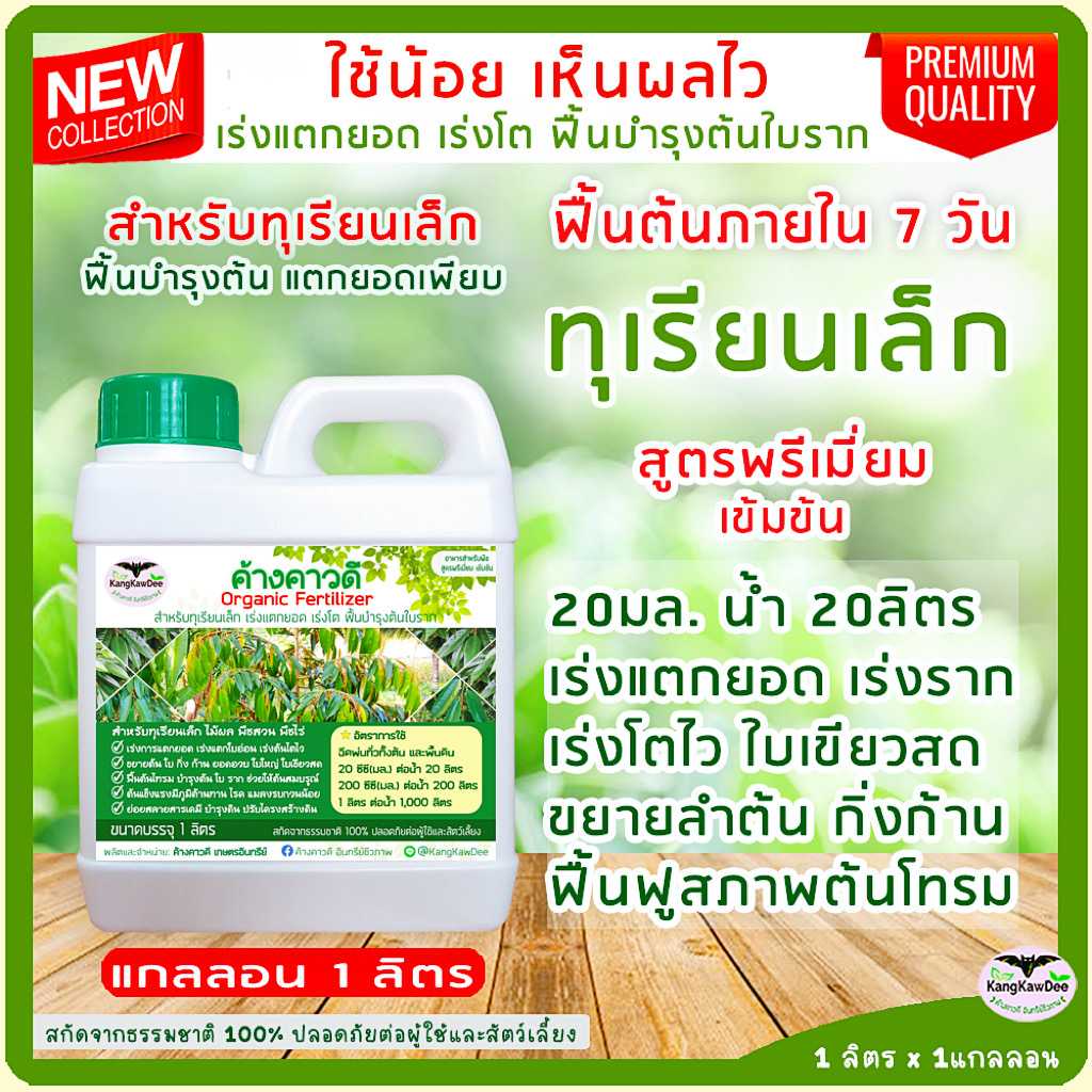 ทุเรียนเล็ก ไม่โต โตช้า ใบเหลือง ค้างคาวดี ทุเรียนเล็ก ขนาด 1 ลิตร