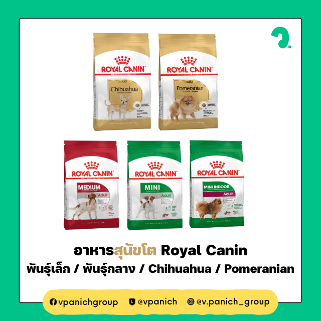 อาหารสุนัขโต Royal Canin ( พันธุ์เล็ก / พันธุ์กลาง / Chihuahua / Pomeranian )
