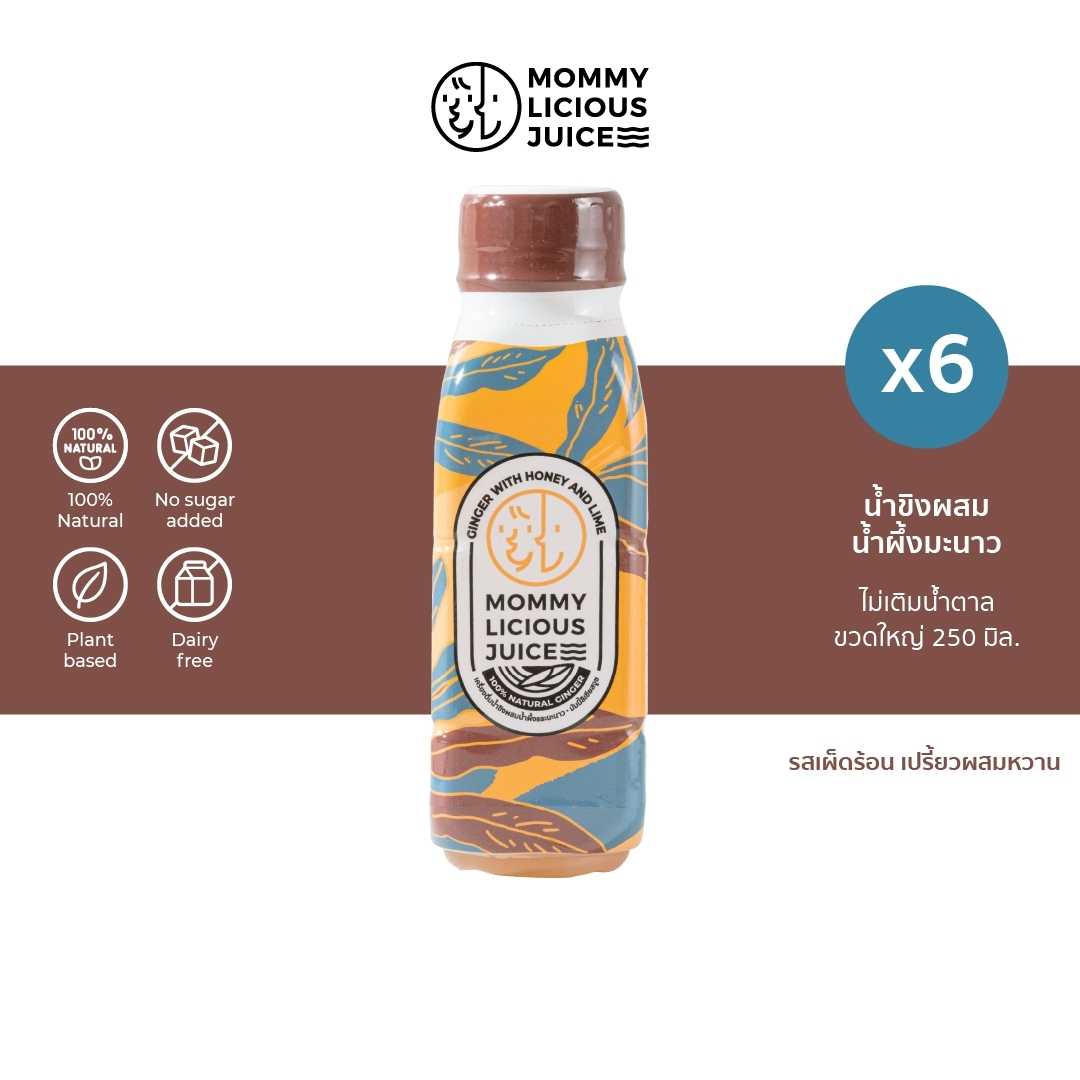 น้ำขิงผสมน้ำผึ้งมะนาว Ginger with Honey and Lime 6 ขวด
