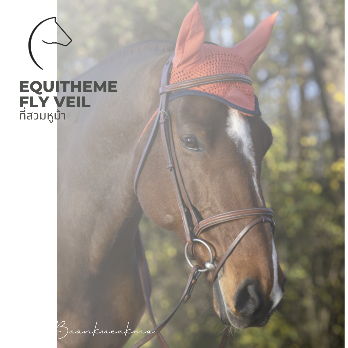 ที่สวมหูม้า EQUITHÈME  Fly veil