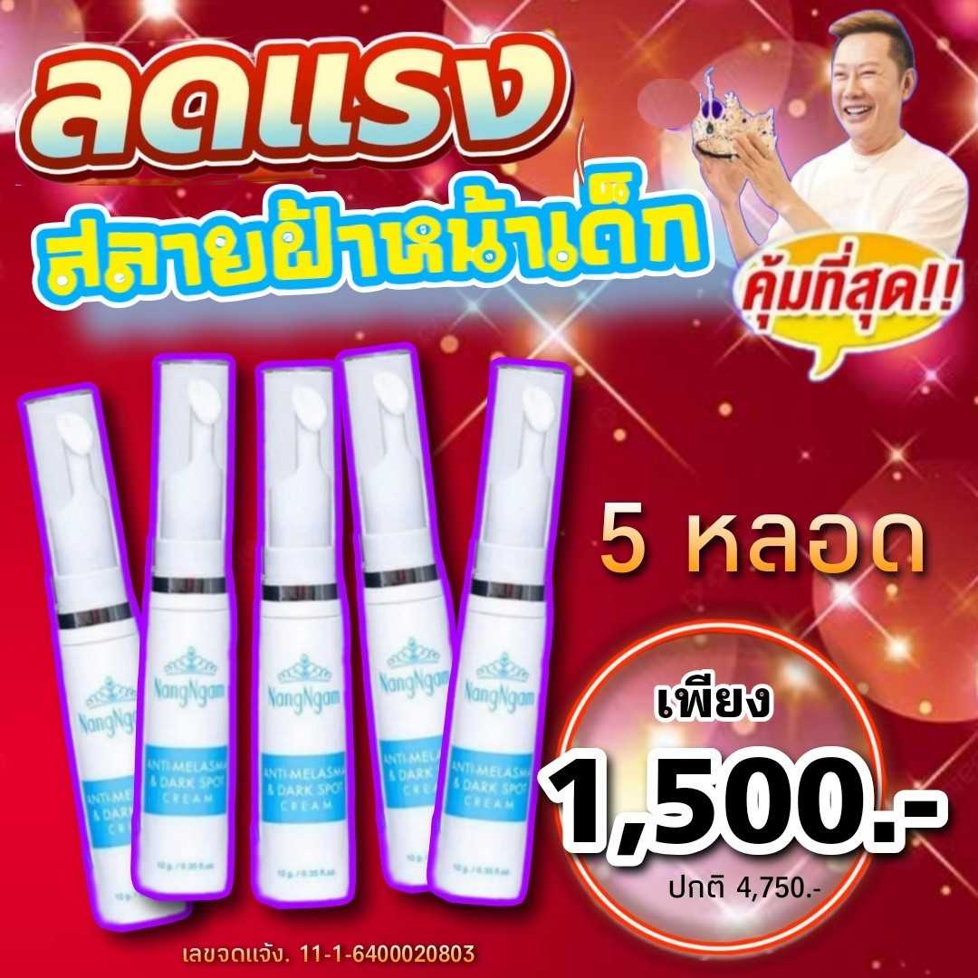 ฝ้า ครีมสลายฝ้า 5 หลอด Nangngam Anti-Melasma & Dark Spot Cream
