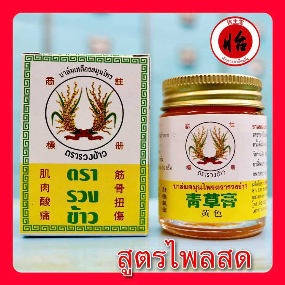 บาล์มเหลืองสมุนไพร ตรารวงข้าว สูตรไพลสด 30 กรัม (青草藥膏 按摩膏) ยาหม่องไพลสด ยาหม่องตรารวงข้าว