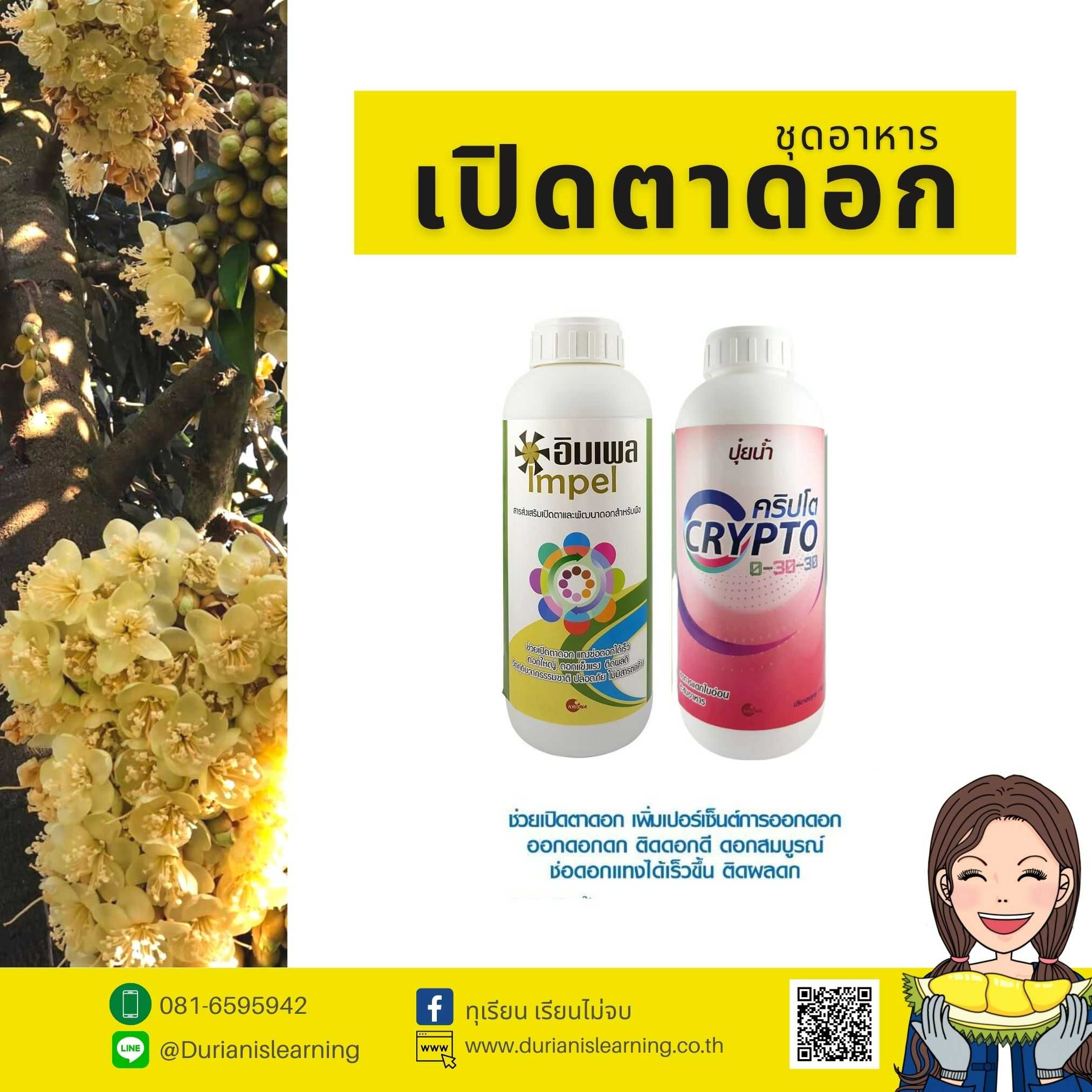 ชุดอาหารเปิดตาดอก เพิ่มเปอร์เซ็นต์การออกดอก ดอกดก ติดดอกดี ดอกสมบูรณ์