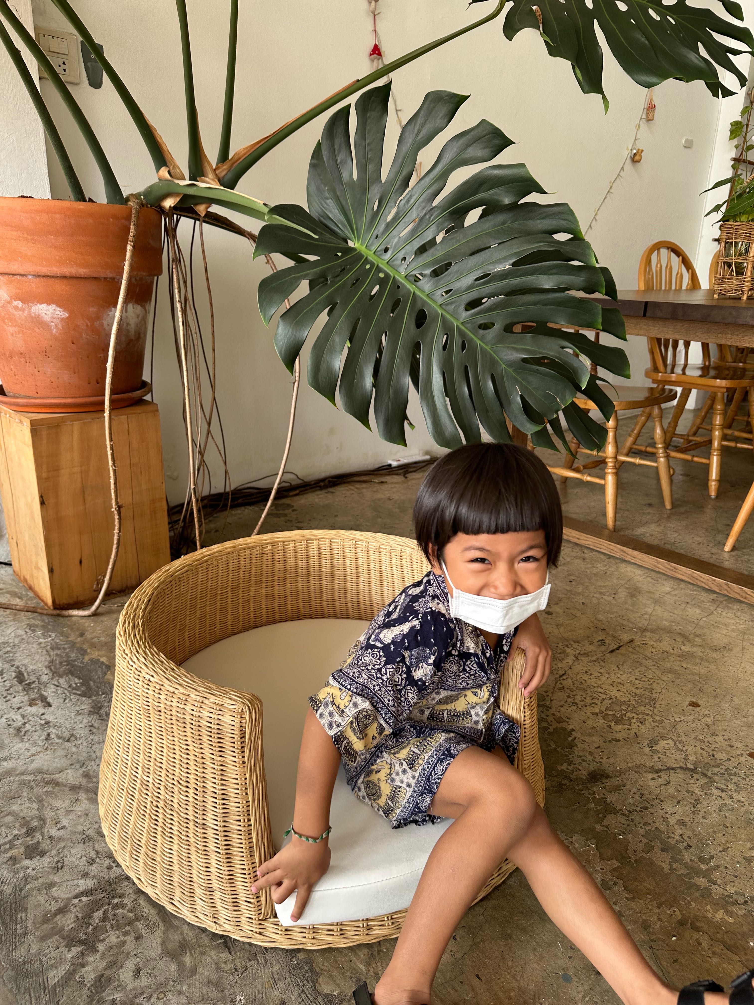 🐈🐩เตียงหวายสานสำหรับสัตว์เลี้ยง หรือเด็กเล็ก👧🏻👦🏻