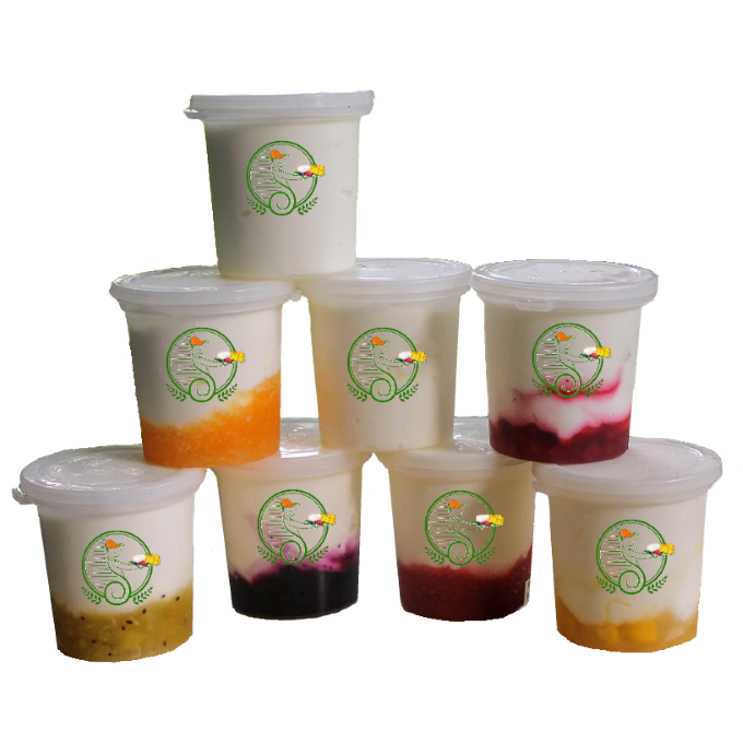 Natural Yogurt with fruit jam โยเกิร์ตธรรมชาติกับแยมผลไม้