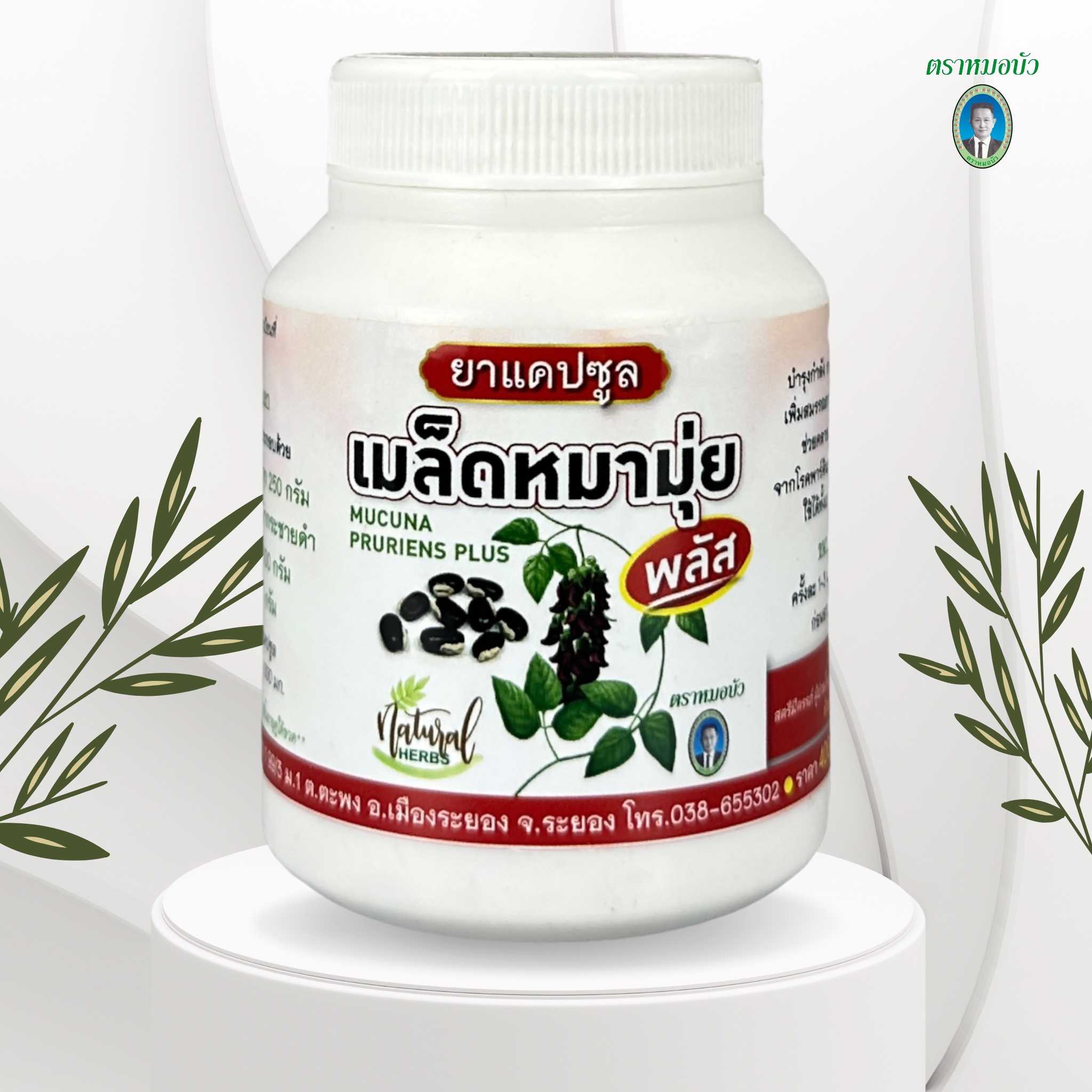 ยาแคปซูล เมล็ดหมามุ่ยพลัส