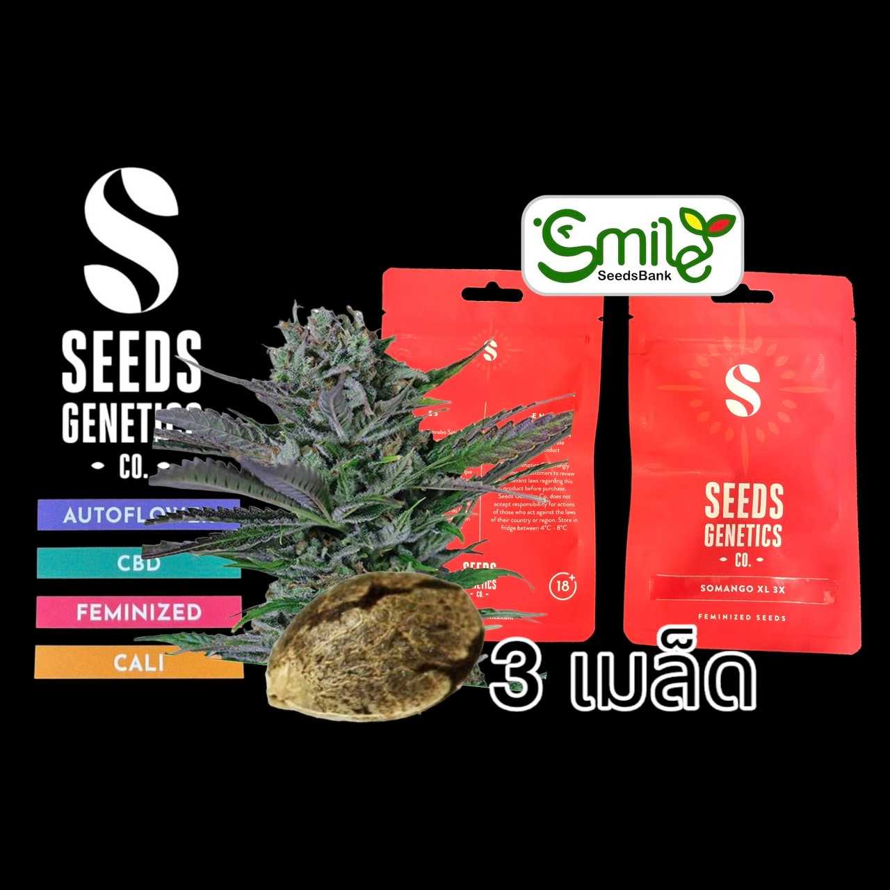 Somango XL Fem -Pack 3