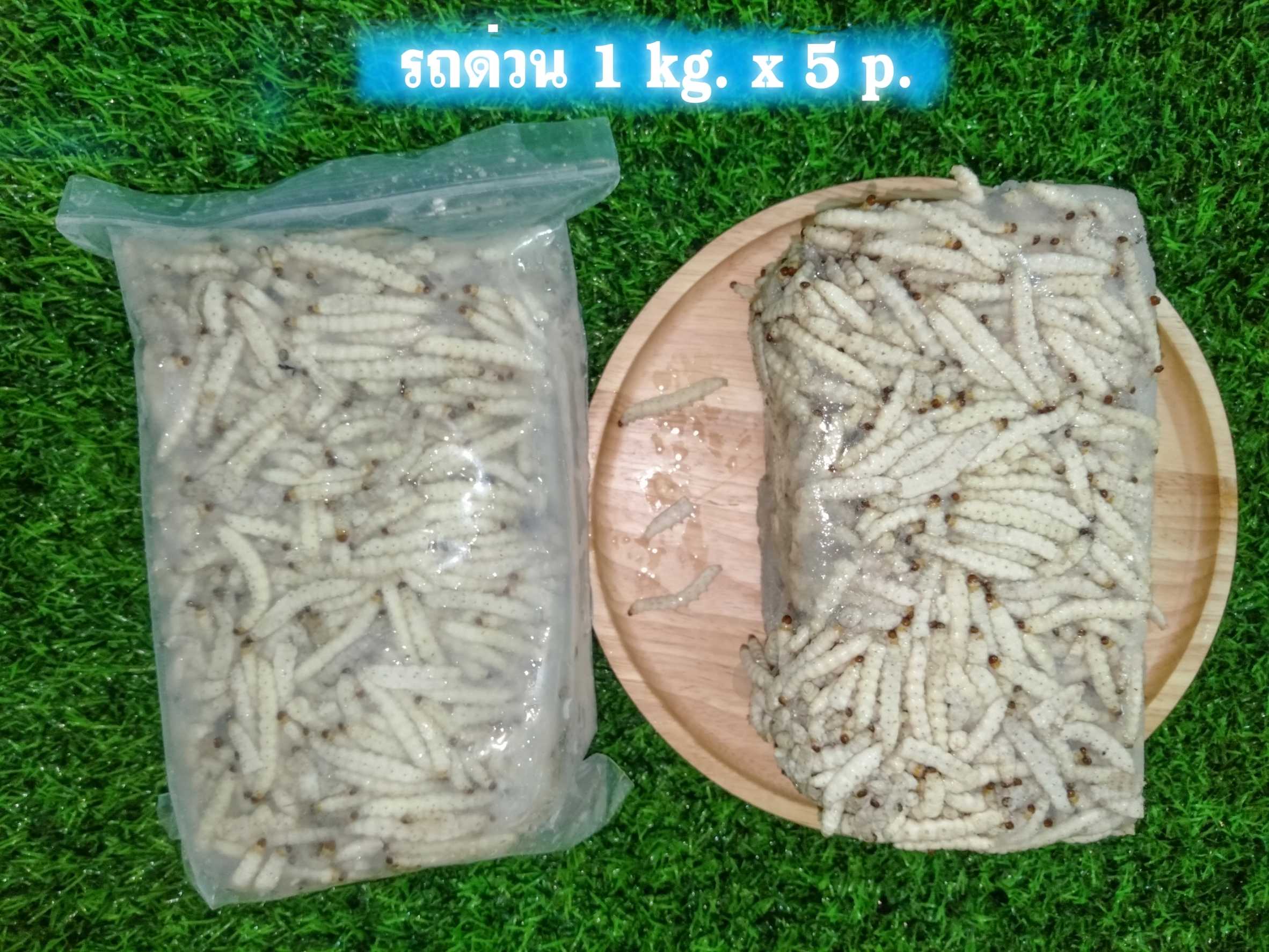 รถด่วน 1kg/p x 5p/หิ้ว แมลง (ส่ง 5+ 555 บาท)(ส่ง 20+ 550 บาท)