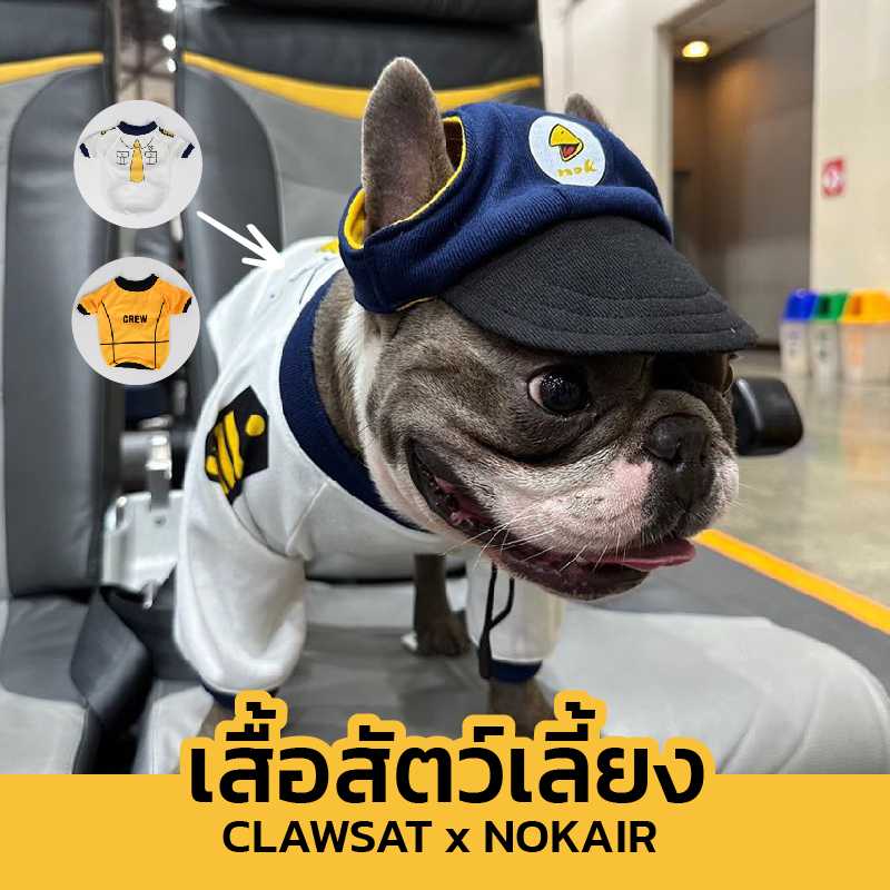 เสื้อสัตว์เลี้ยง - Clawset x Nok Air