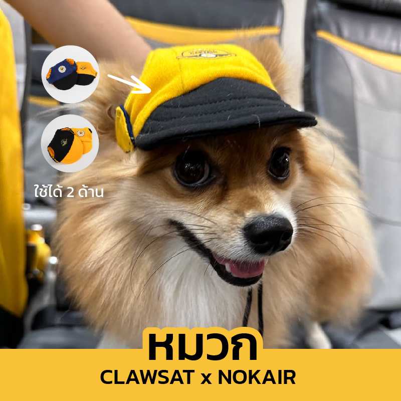 หมวกสัตว์เลี้ยง - Clawset x Nok Air