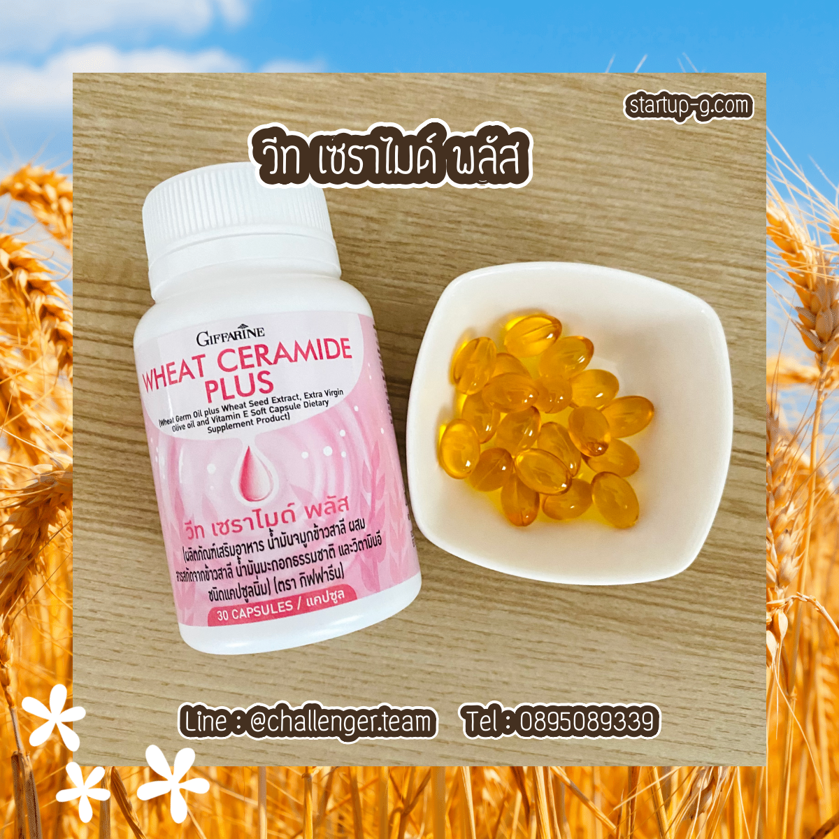 🫒🌾 วีทเซราไมด์พลัสWheatCeramide Plusน้ำมันจมูกข้าวสาลีน้ำมันมะกอกธรรมชาติและวิตามินอีบอกลาผิวแห้ง