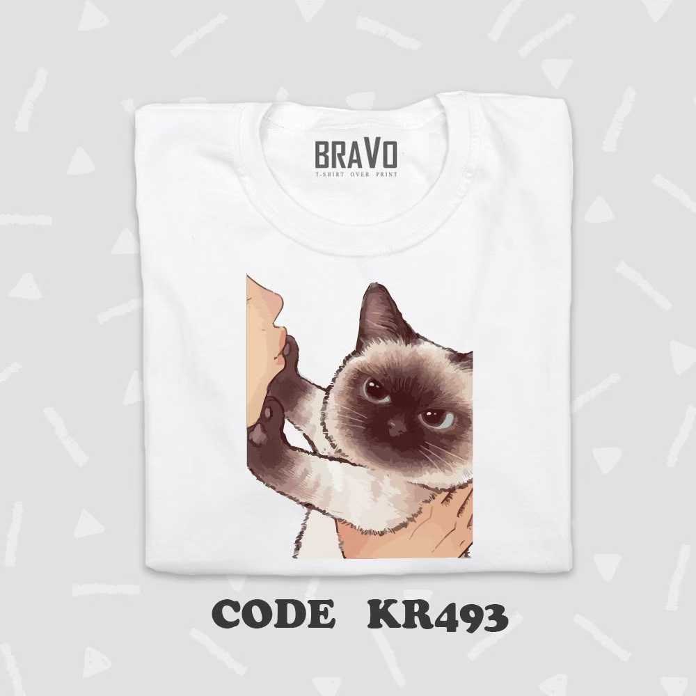 KR493