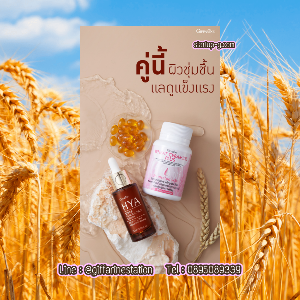 ผิวชุ่มชื้น แลดูแข็งแรง Giffarine HYA Super Concentrate Serum Wheat Ceramide Plus