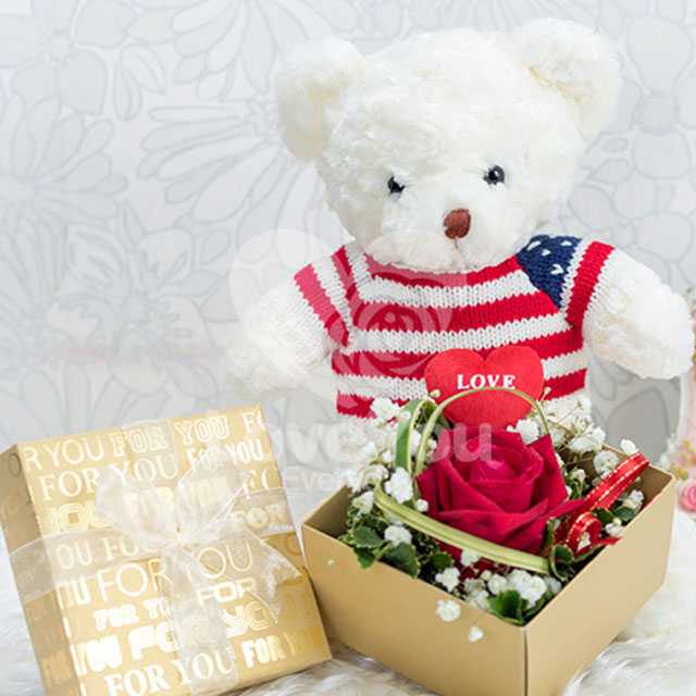 DF102 Teddy USA For U