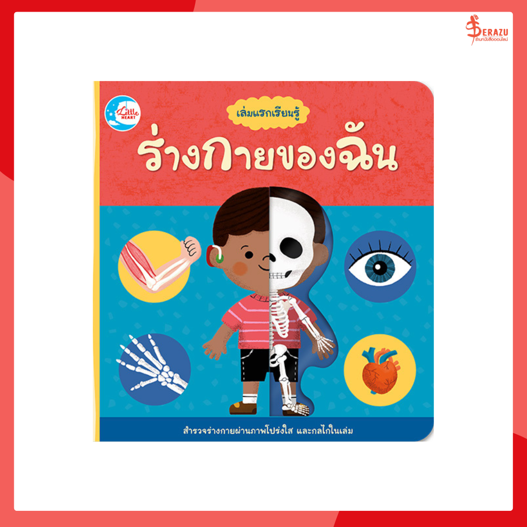 หนังสือ บอร์ดบุ๊ค เล่มแรกเรียนรู้ ร่างกายของฉัน