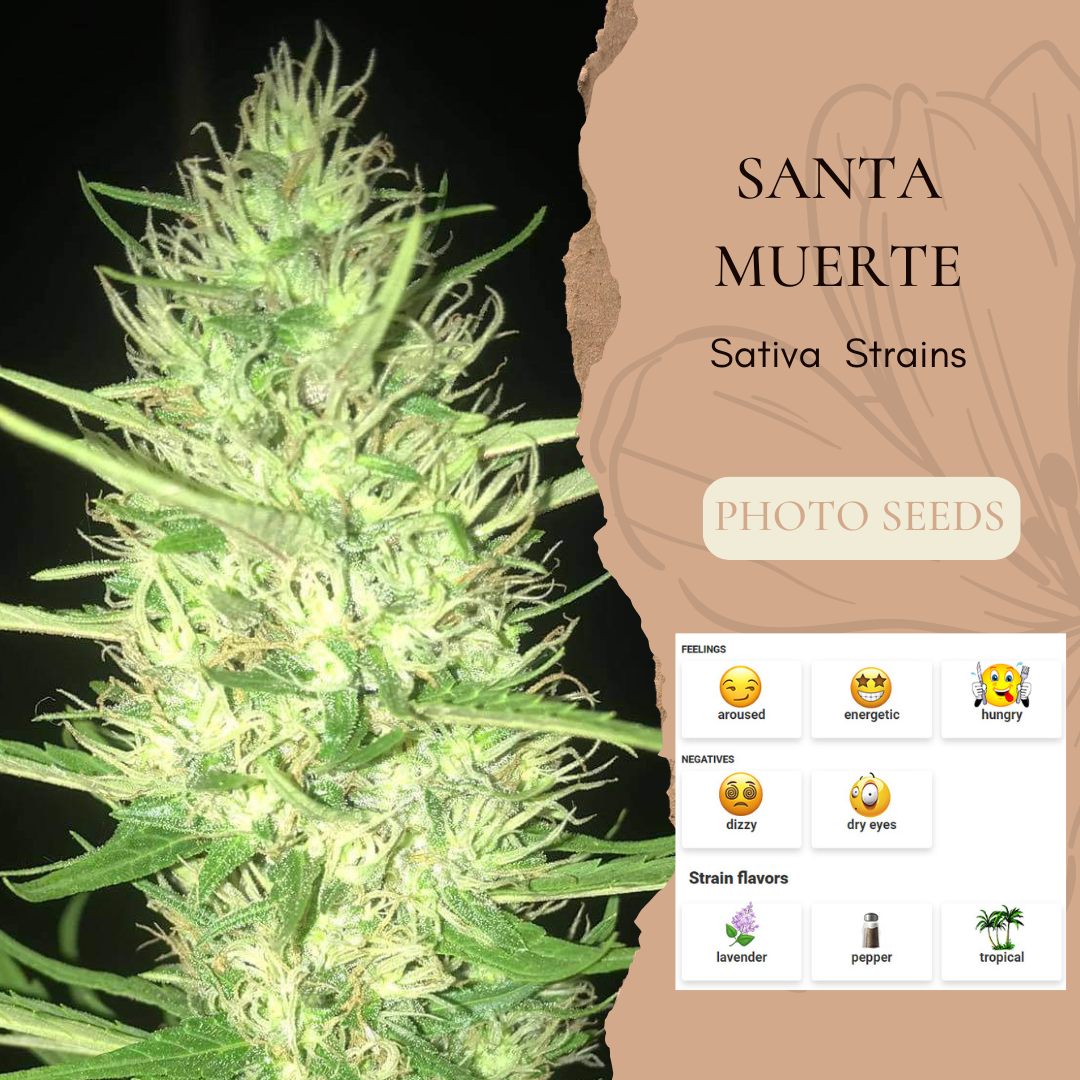 Santa Muerte