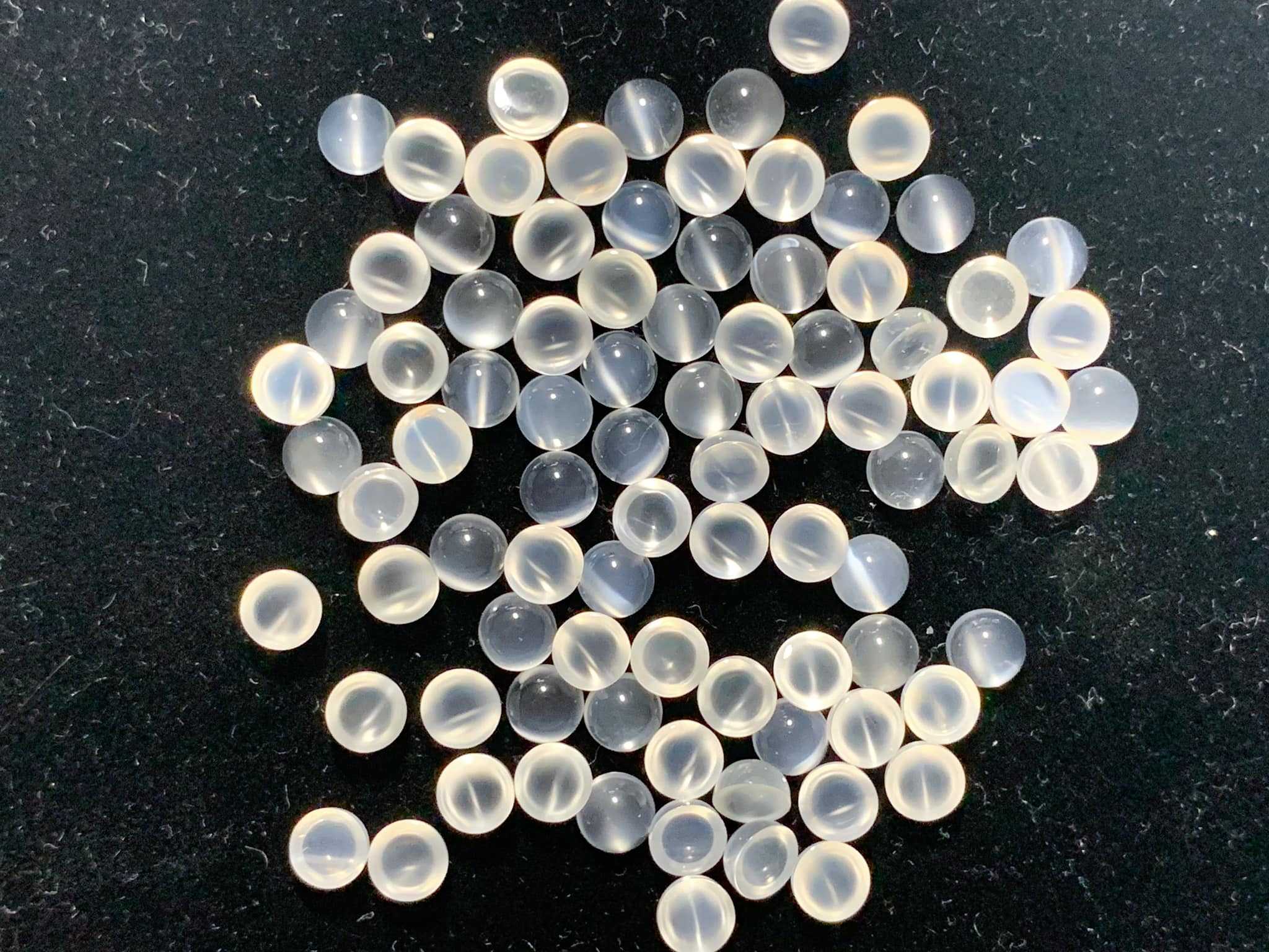 5.0mm. พลอยมูนสโตนกลมหลังเบี้ย (ตาแมว) กะรัตละ 70 บาท