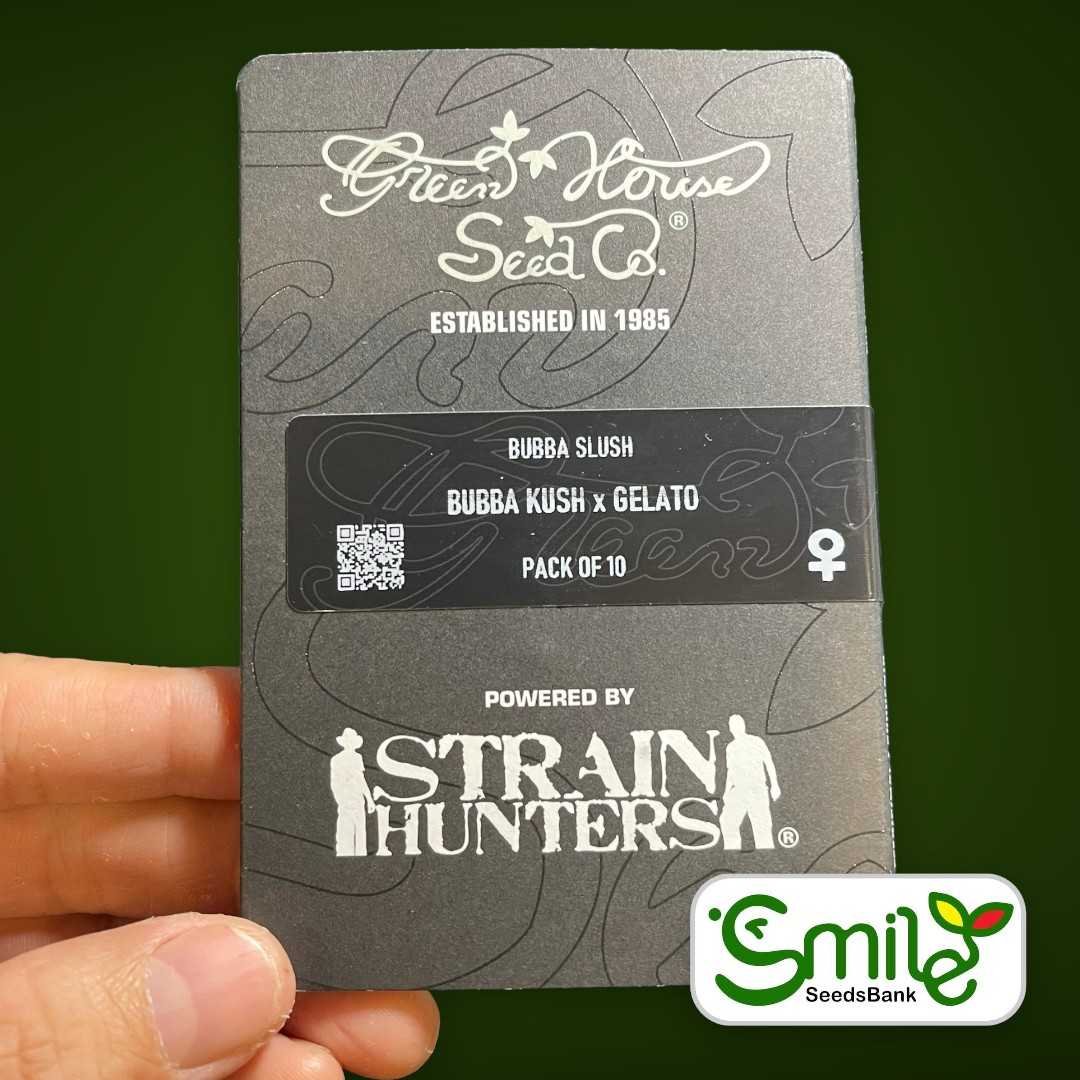 เมล็ดกัญชา GHS - BUBBA SLUSH (Bubba K-sh x Gelato) Photo Feminized - แพค 10 เมล็ด
