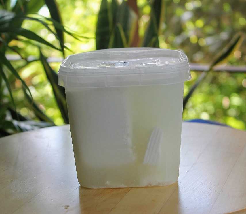 Feta Cheese Firm Preservatives Free