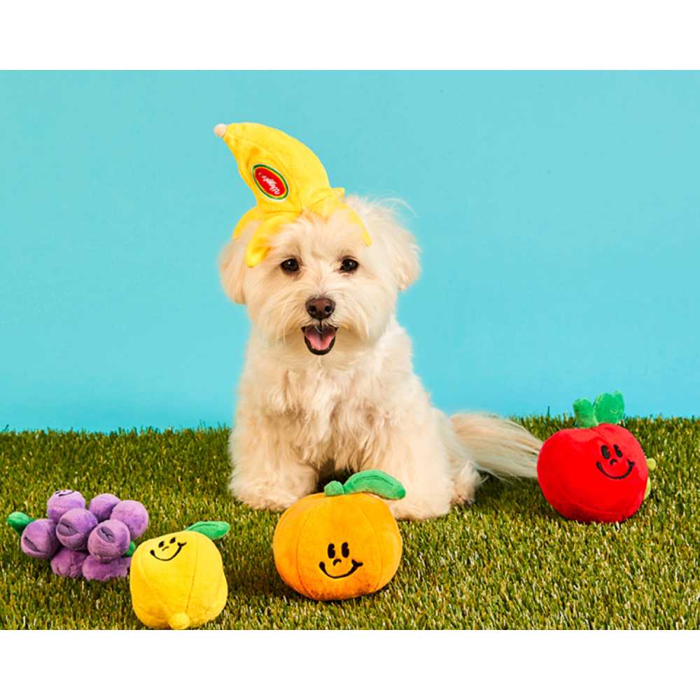 Pethroom x Wiggle Nosework Toy  ของเล่นสำหรับสัตว์เลี้ยง นำเข้าจากเกาหลี 🇰🇷