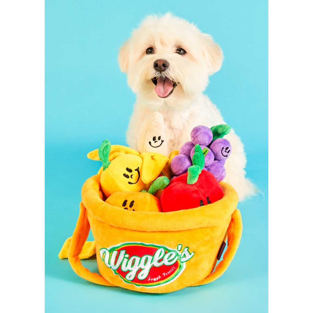 Pethroom x Wiggle Nosework Toy - Basket Setcategory ของเล่นสำหรับสัตว์เลี้ยง นำเข้าจากเกาหลี 🇰🇷