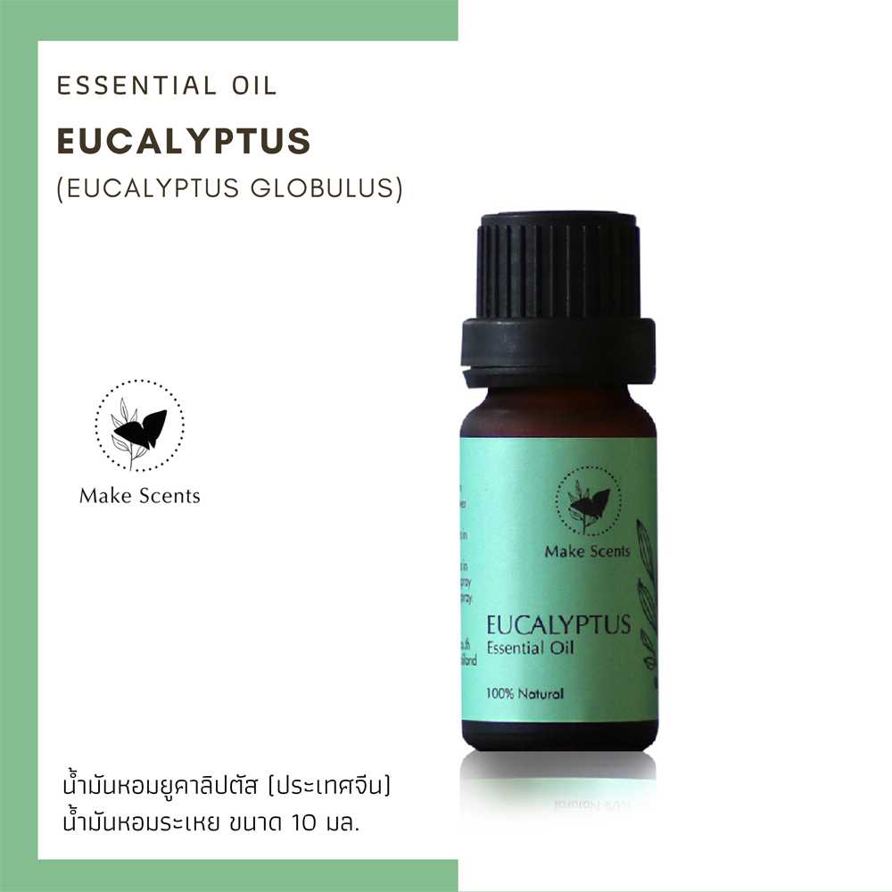 ยูคาลิปตัส - Eucalyptus Oil (Eucalyptus globulus)