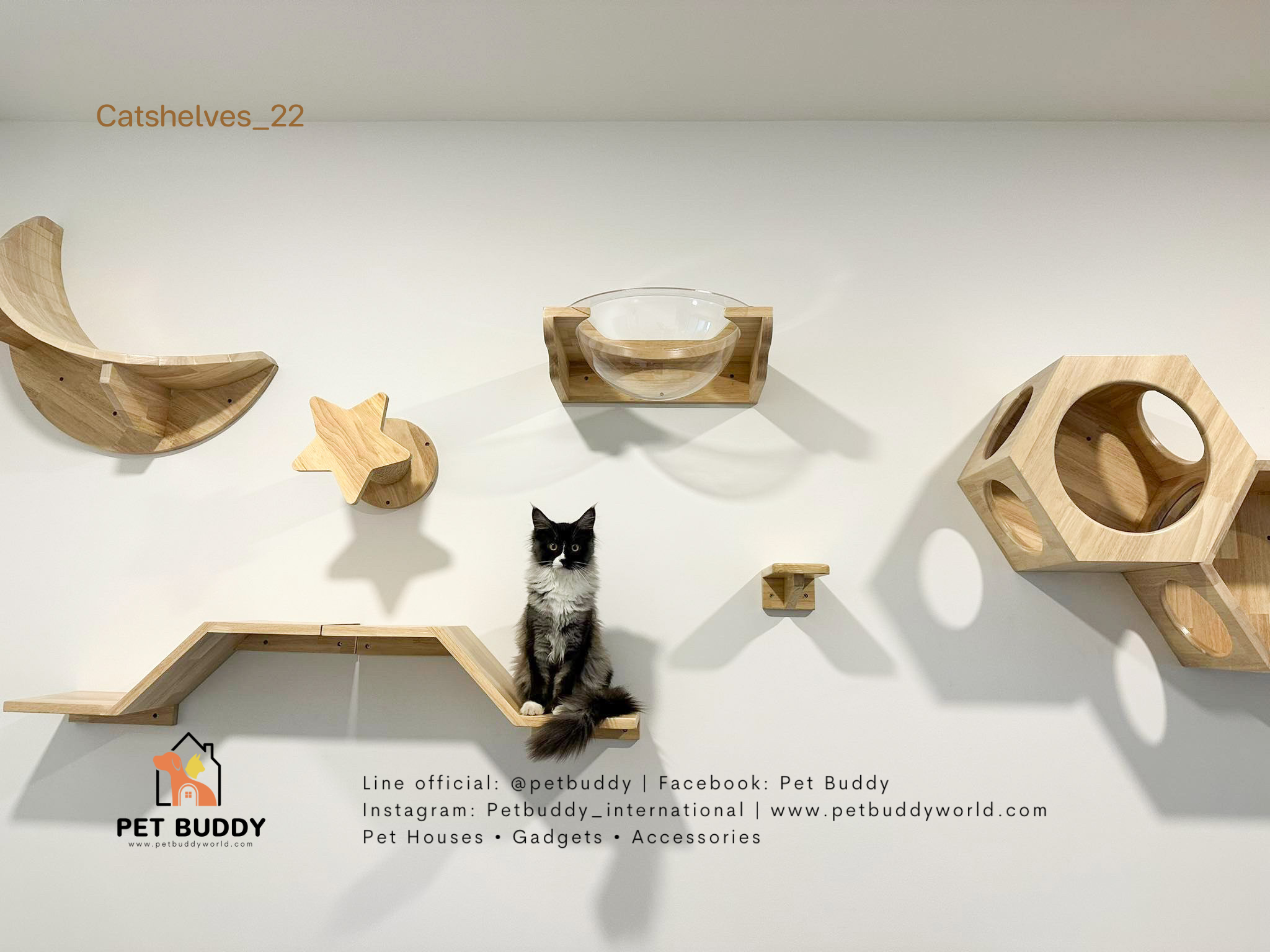 Catshelves_22 ชั้นแมวติดผนัง (แบบชุด)