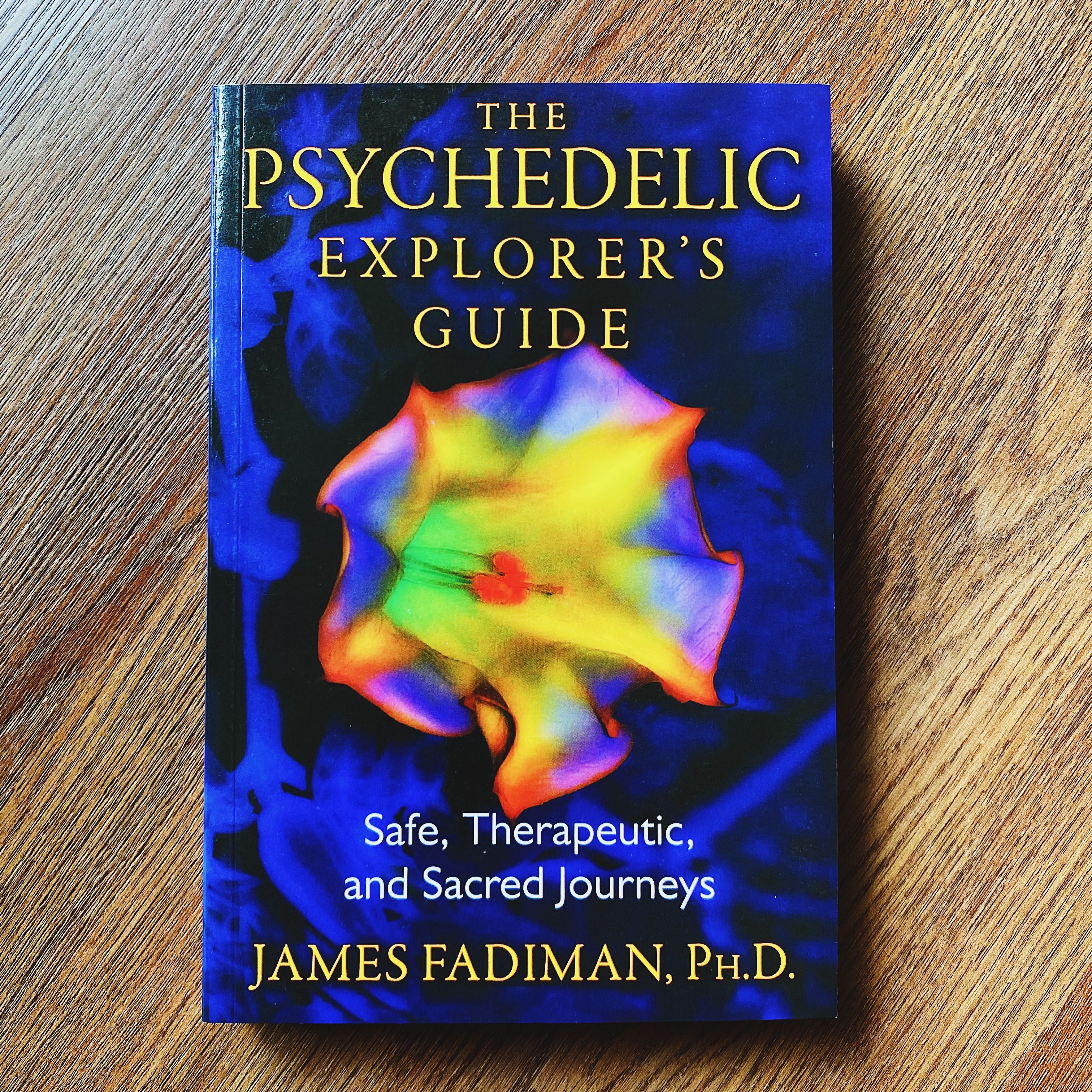 The Psychedelic Explorer’s Guide