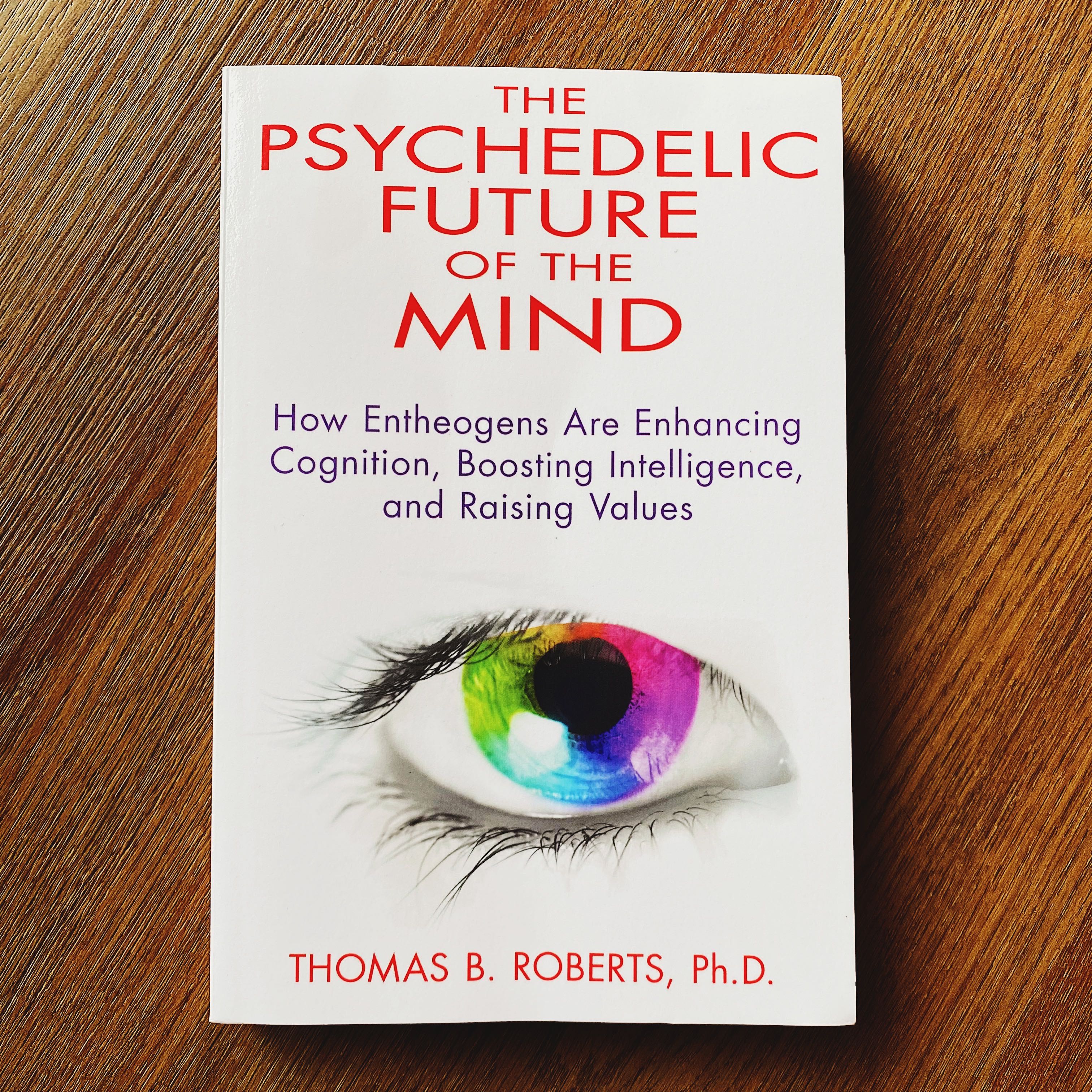 The Psychedelic Future of the Mind