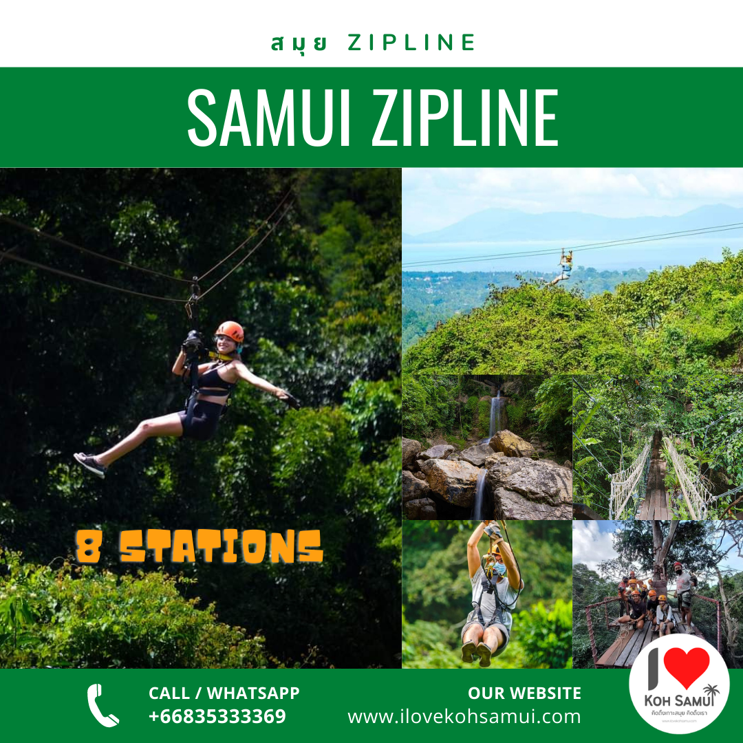 Samui Zipline Tree Bridge สมุยซิปไลน์ ทรีบริดจ์
