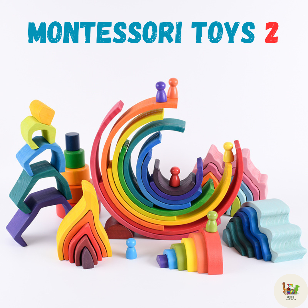 Pre-Order : Montessori Toys Set 2
