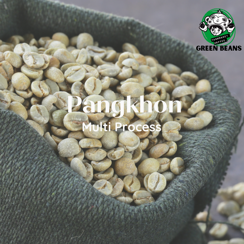 สารกาแฟปางขอน Pangkhon Multi Process 1000g