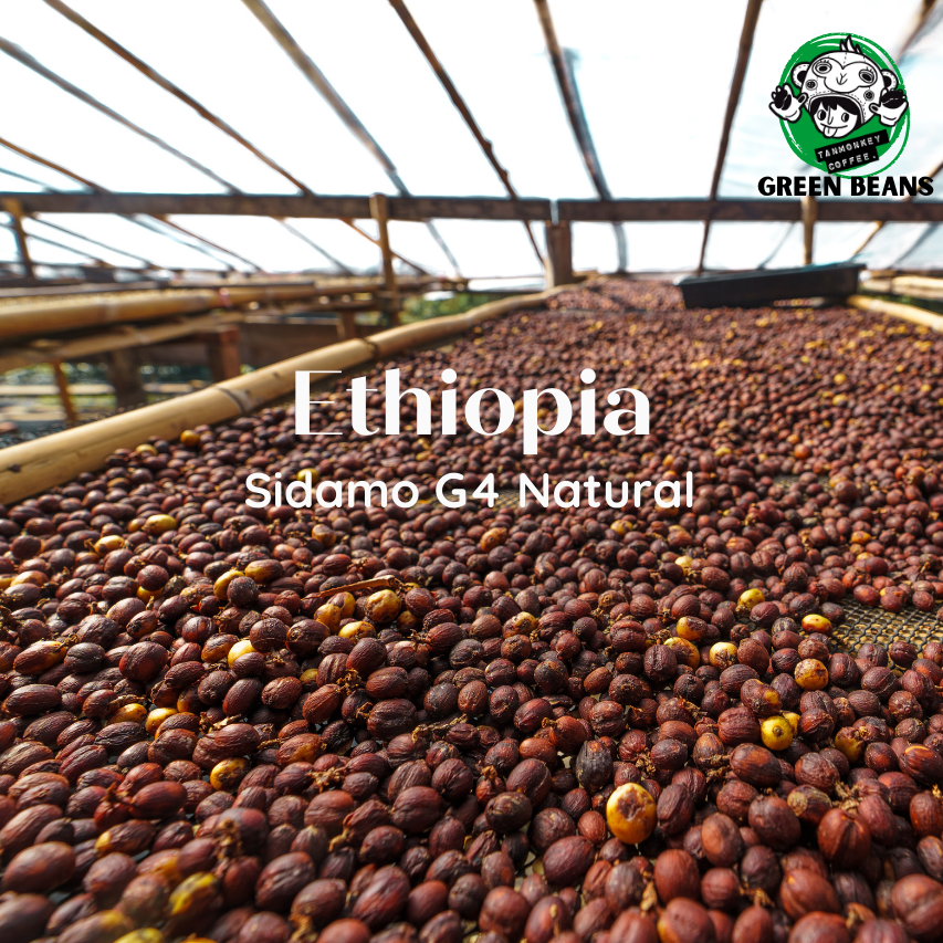 สารกาแฟ Ethiopia Sidamo G4/ Natural Process 1000g
