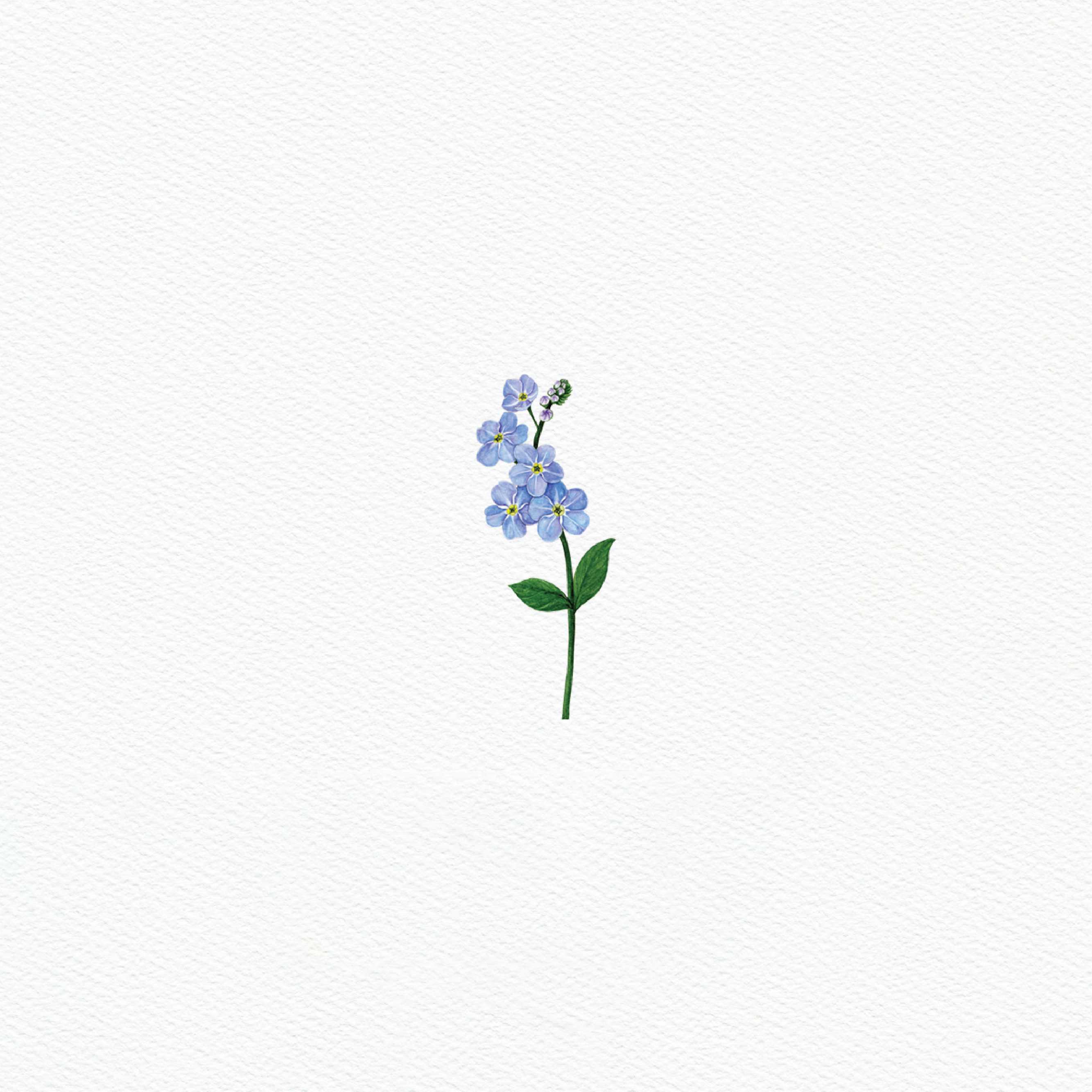 ttq floral sticker- forget me not