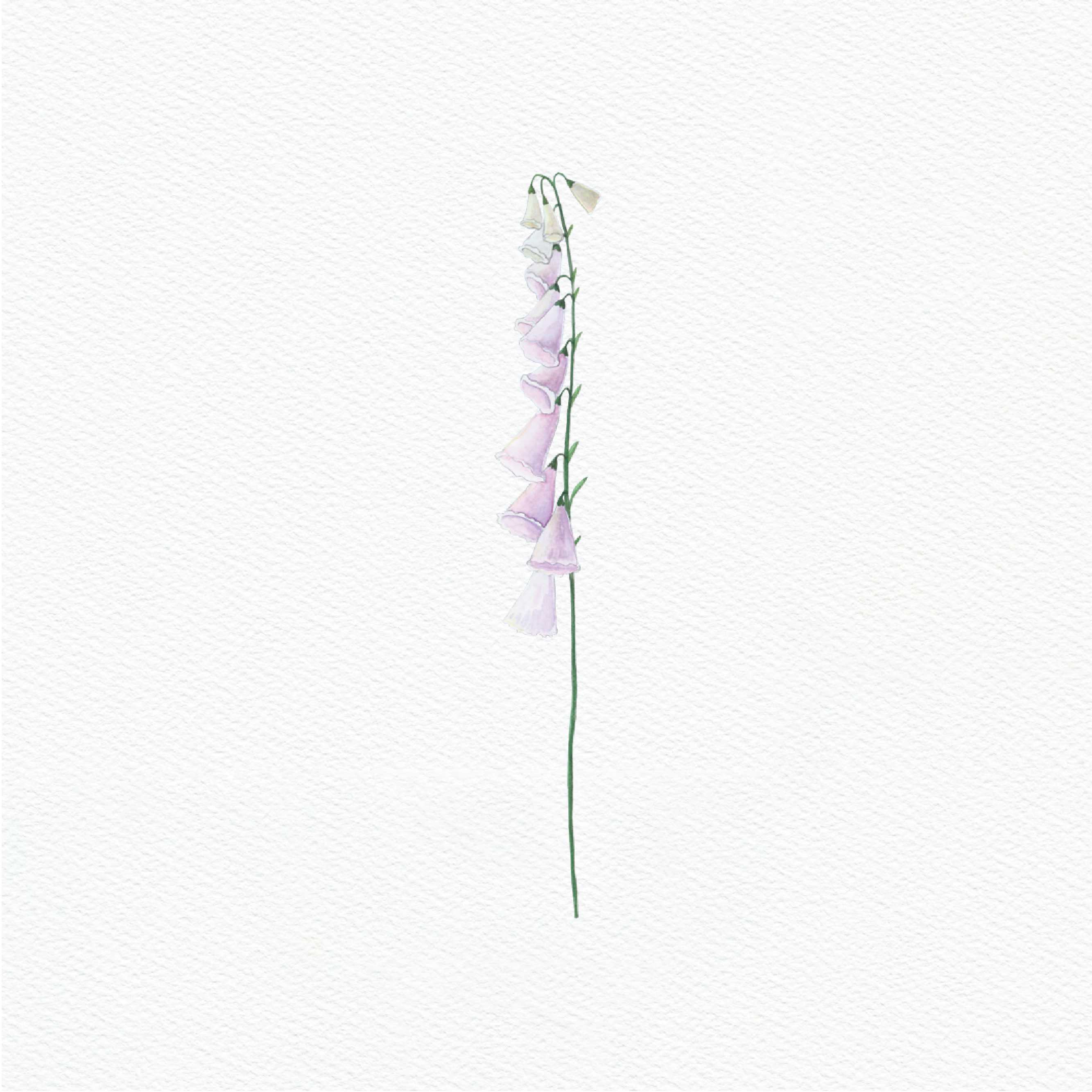 ttq floral sticker- foxgloves