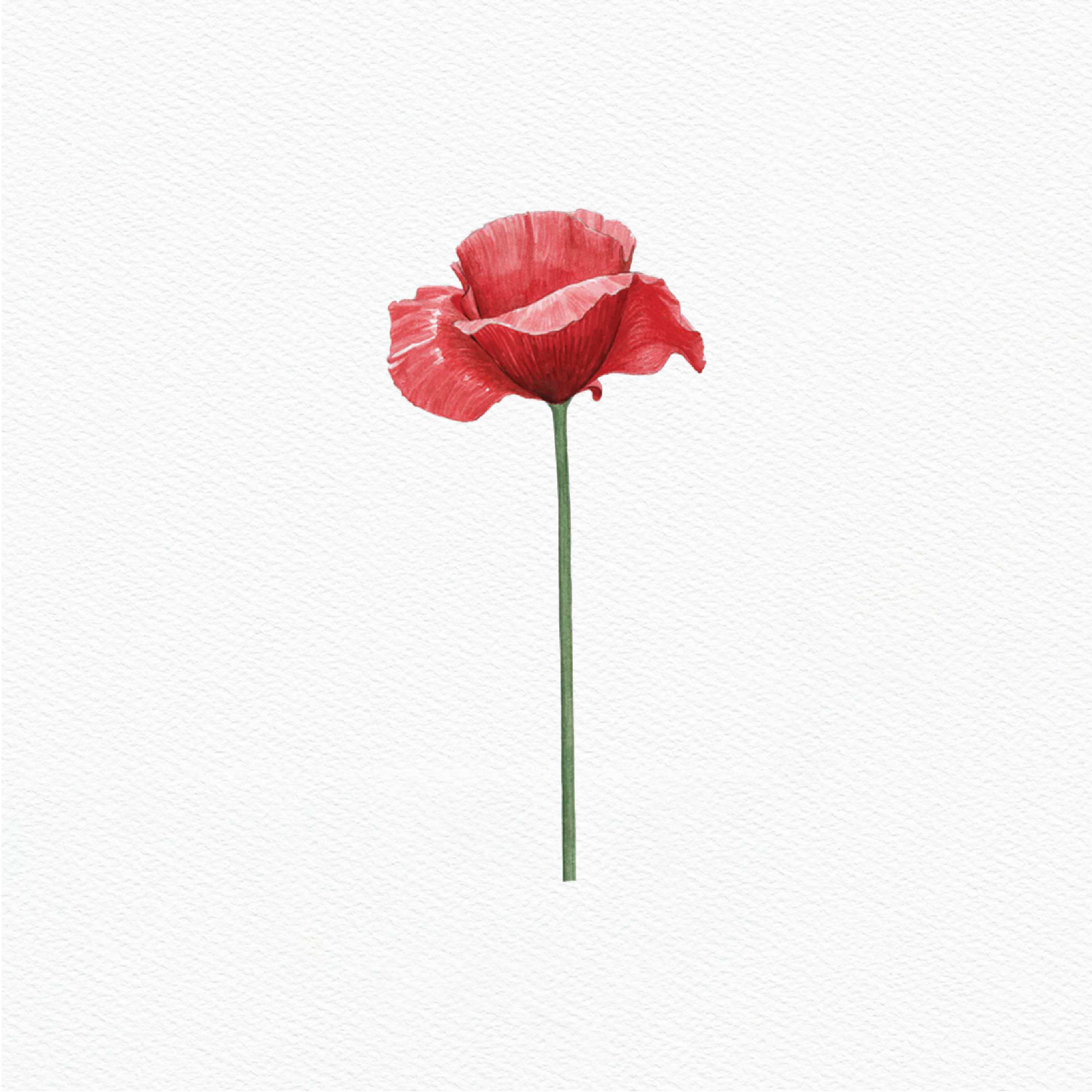 ttq floral sticker- poppy red 2