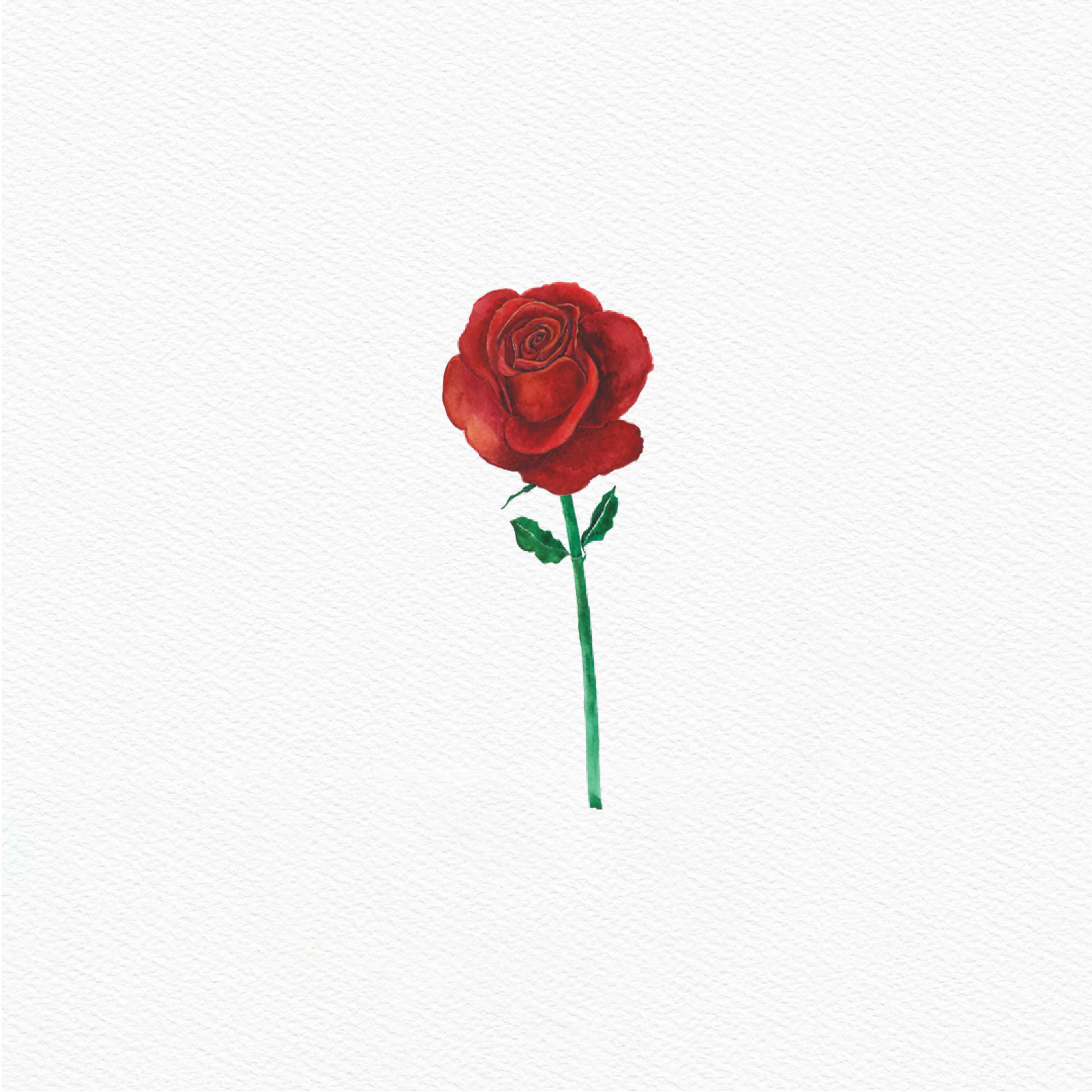 ttq floral sticker- red rose bloom