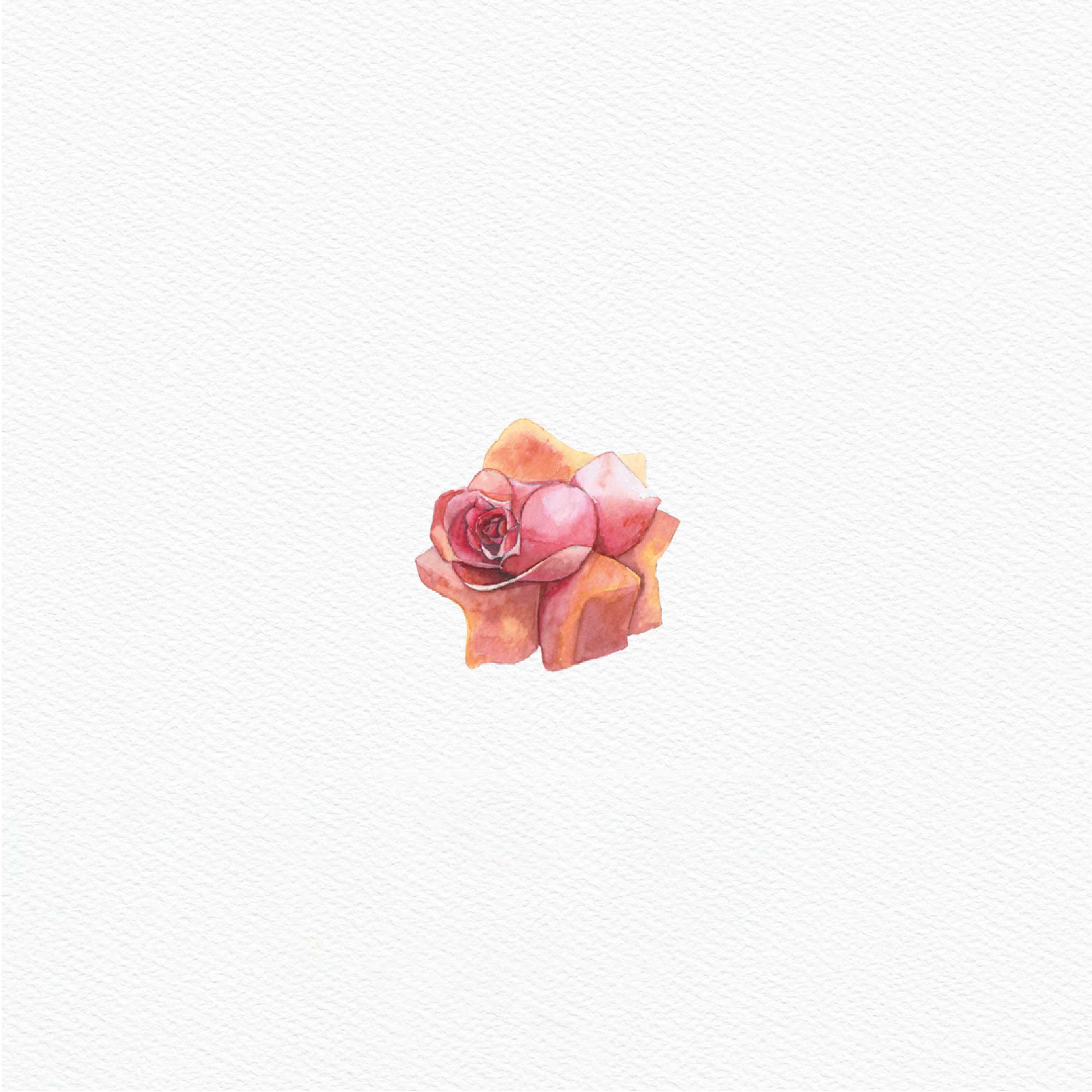 ttq floral sticker- coral rose 1