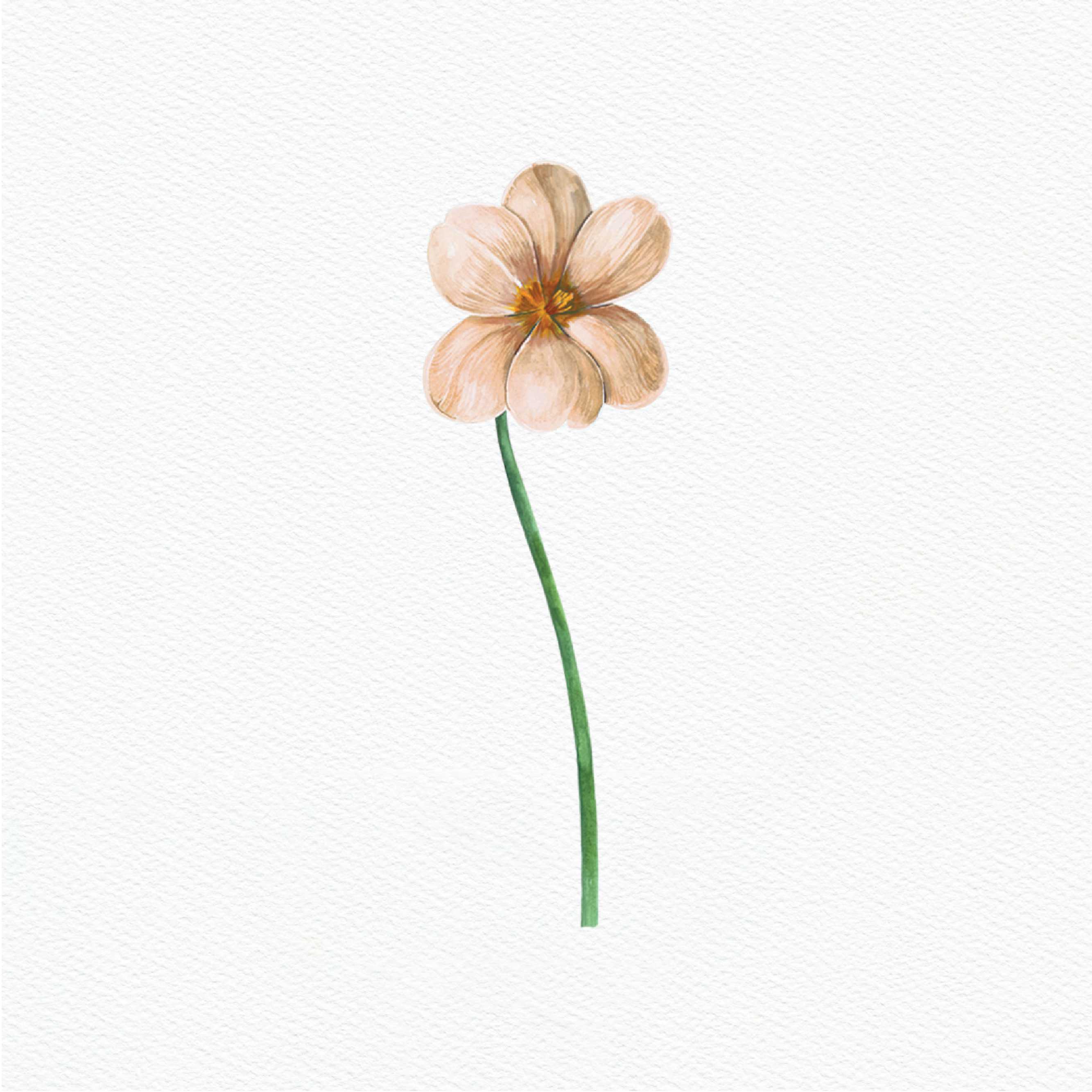 ttq floral sticker- brown tulip bloom 1
